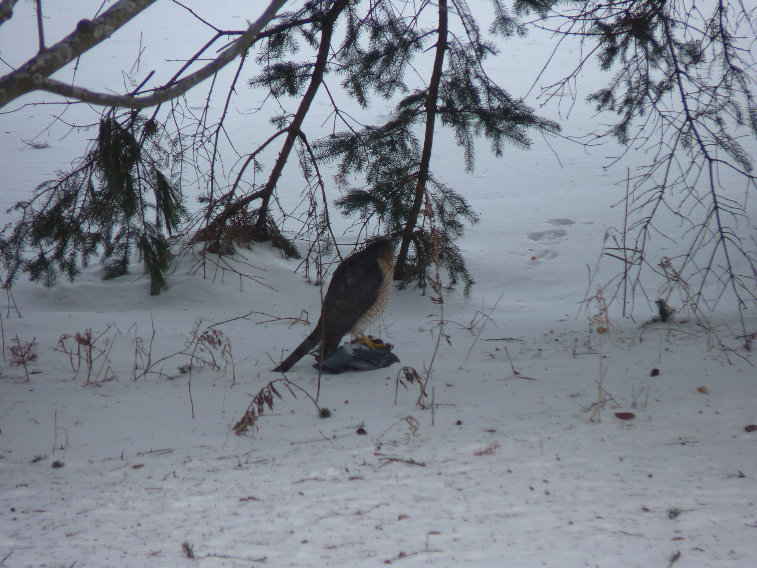 20130103-111948-Unknown-2013