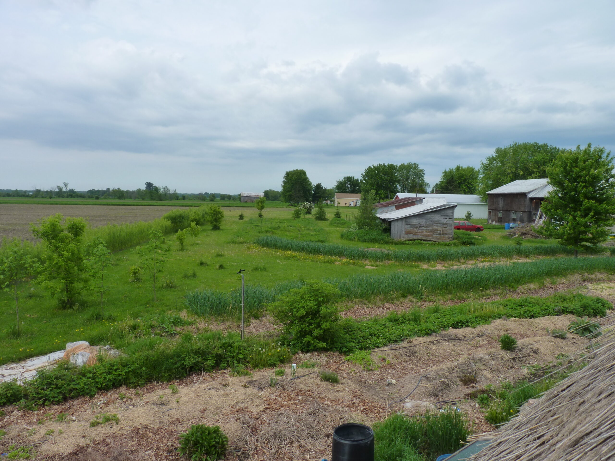 20130601-082942-Landscape-2013