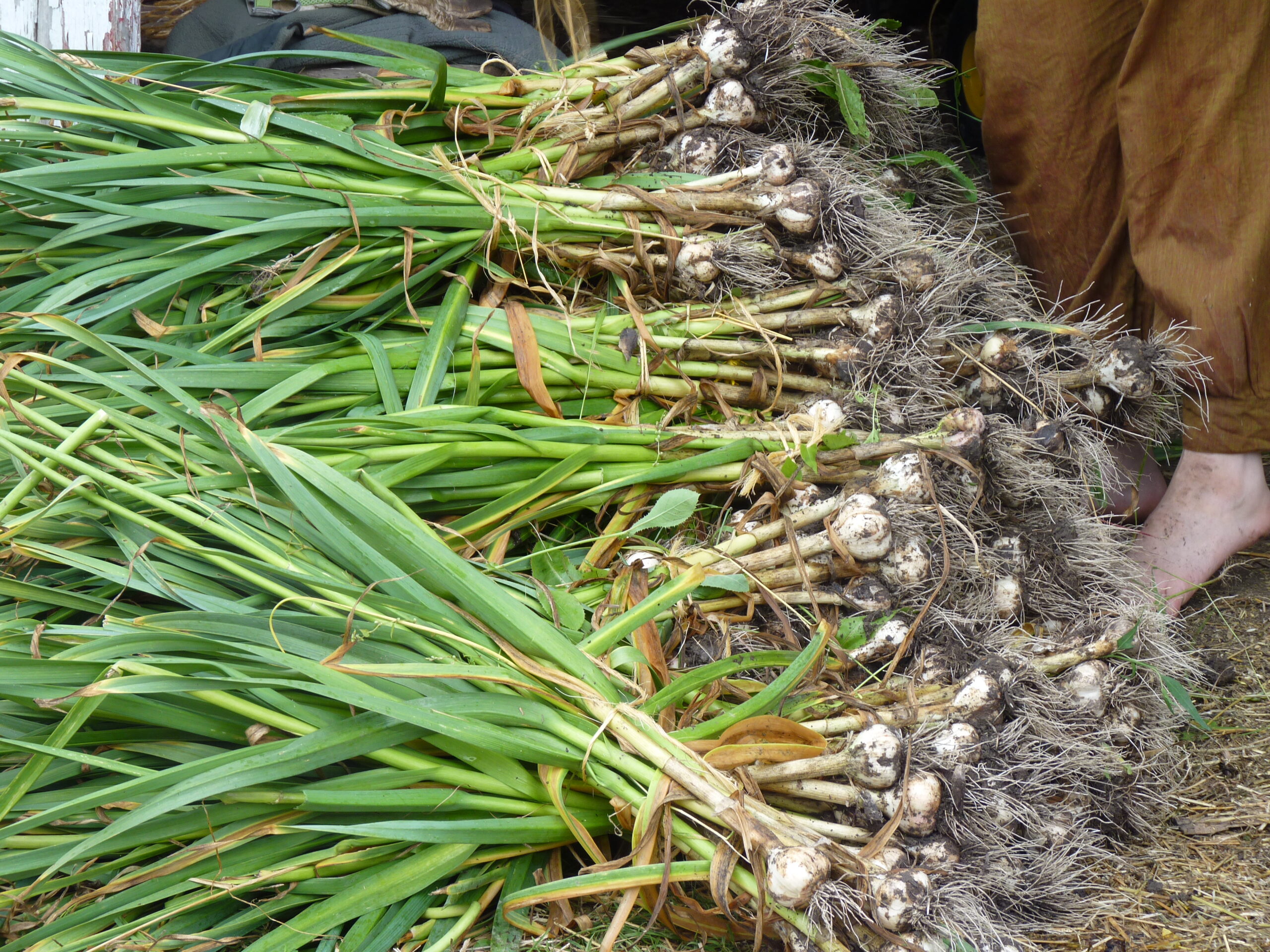 20130802-112351-Unknown-2013