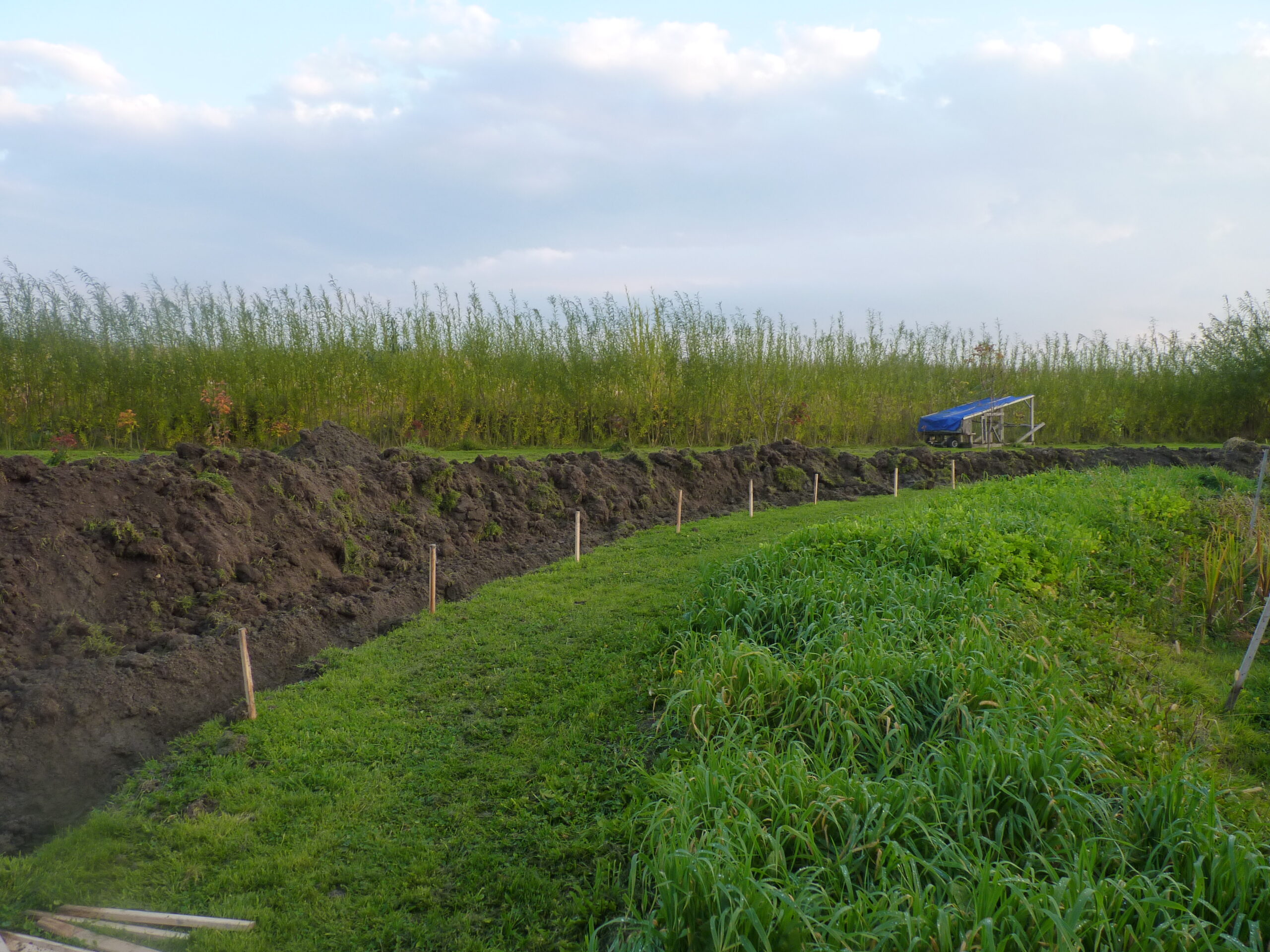 20131014-163422-Landscape-2013