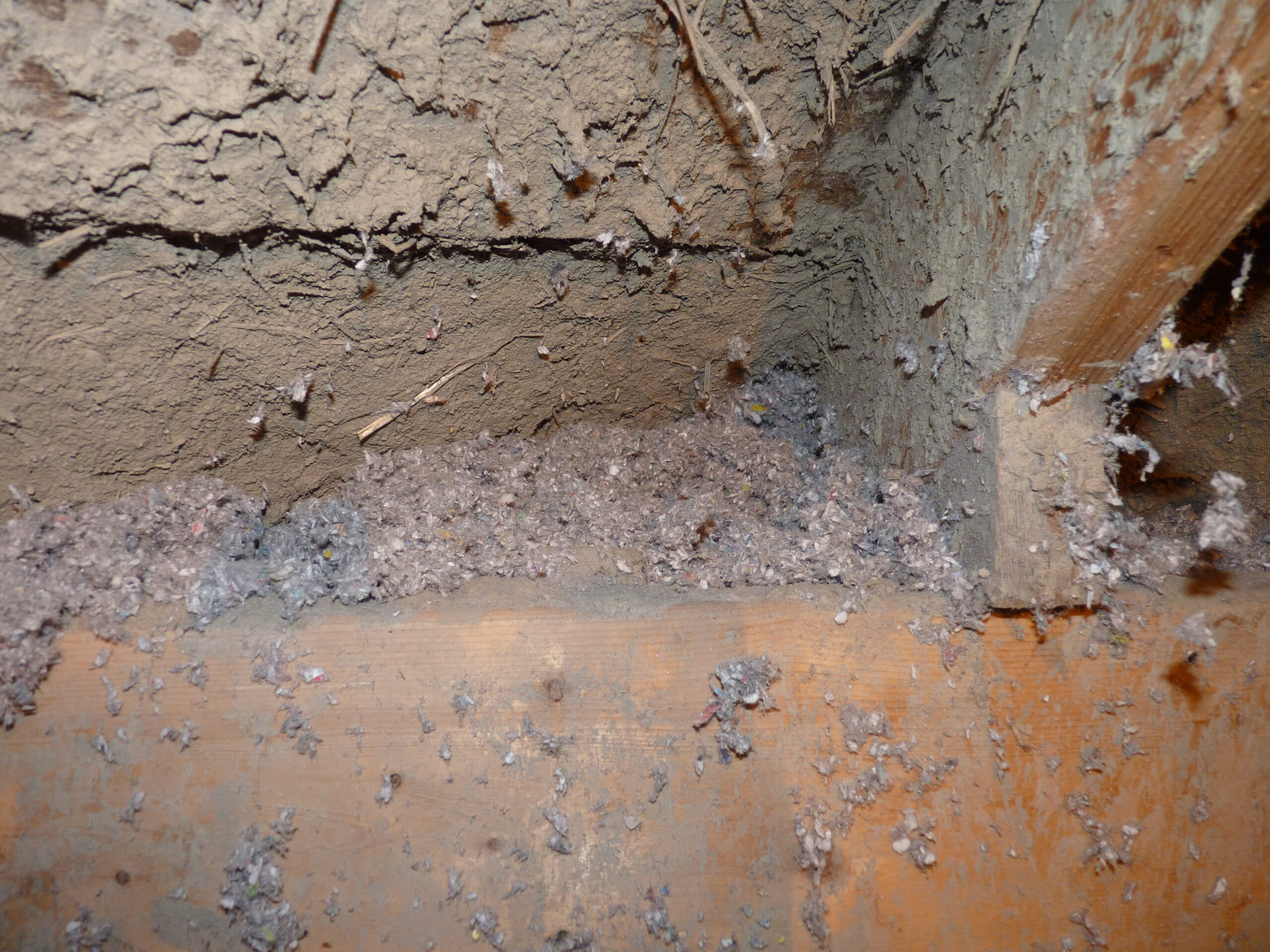 20140213-194635-Unknown-2014