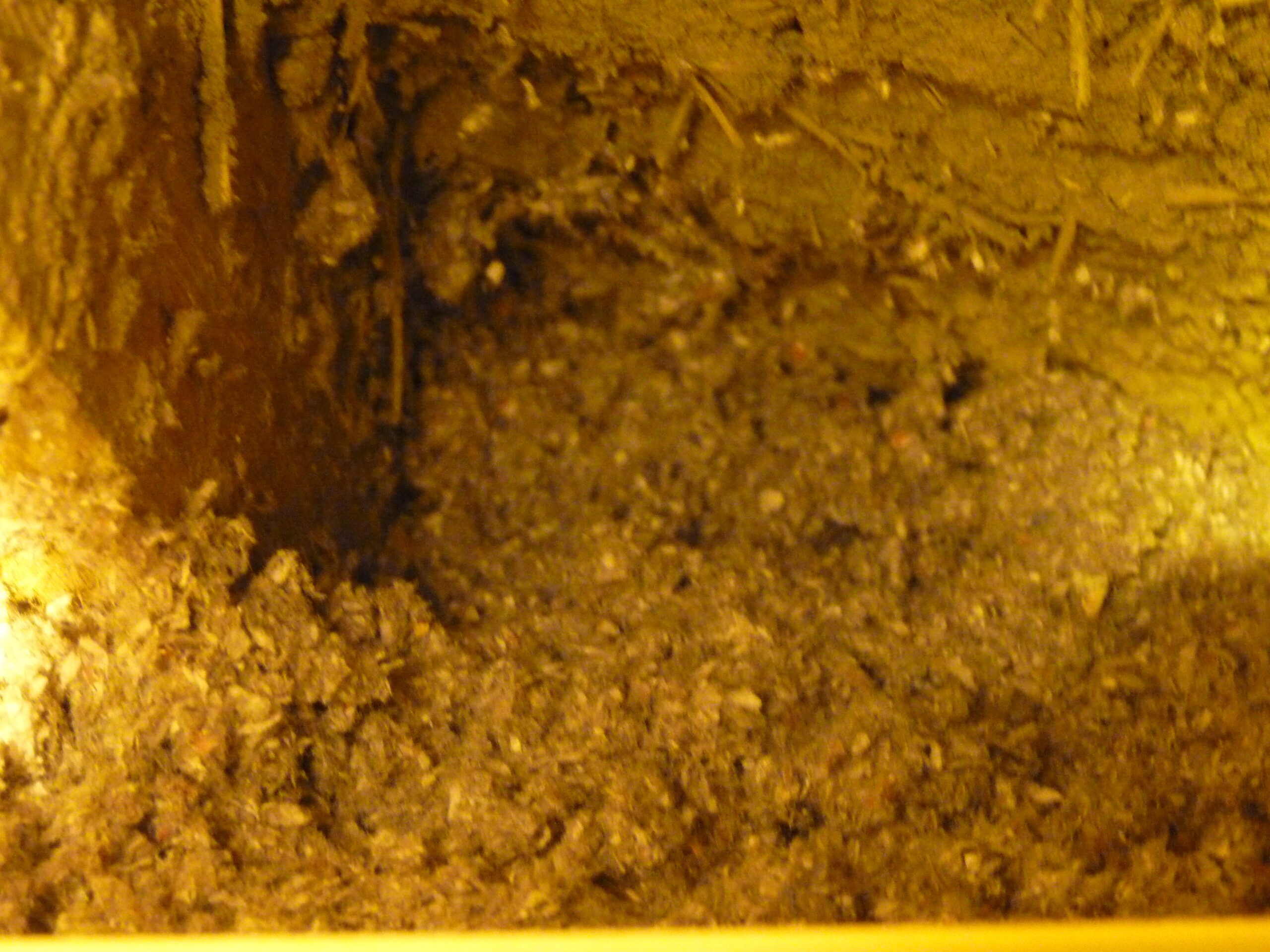 20140221-001356-Unknown-2014