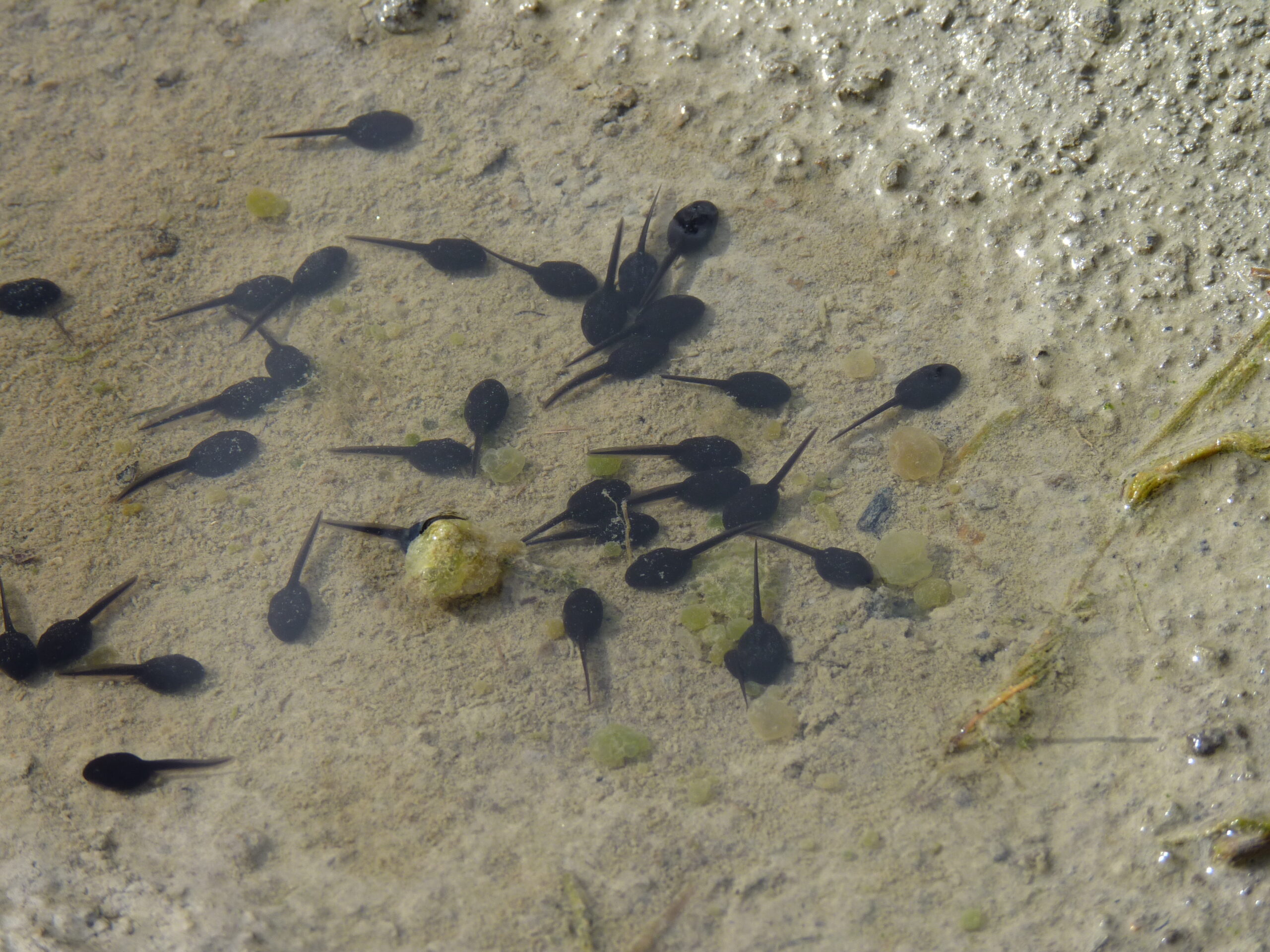 20140523-161725-Unknown-2014