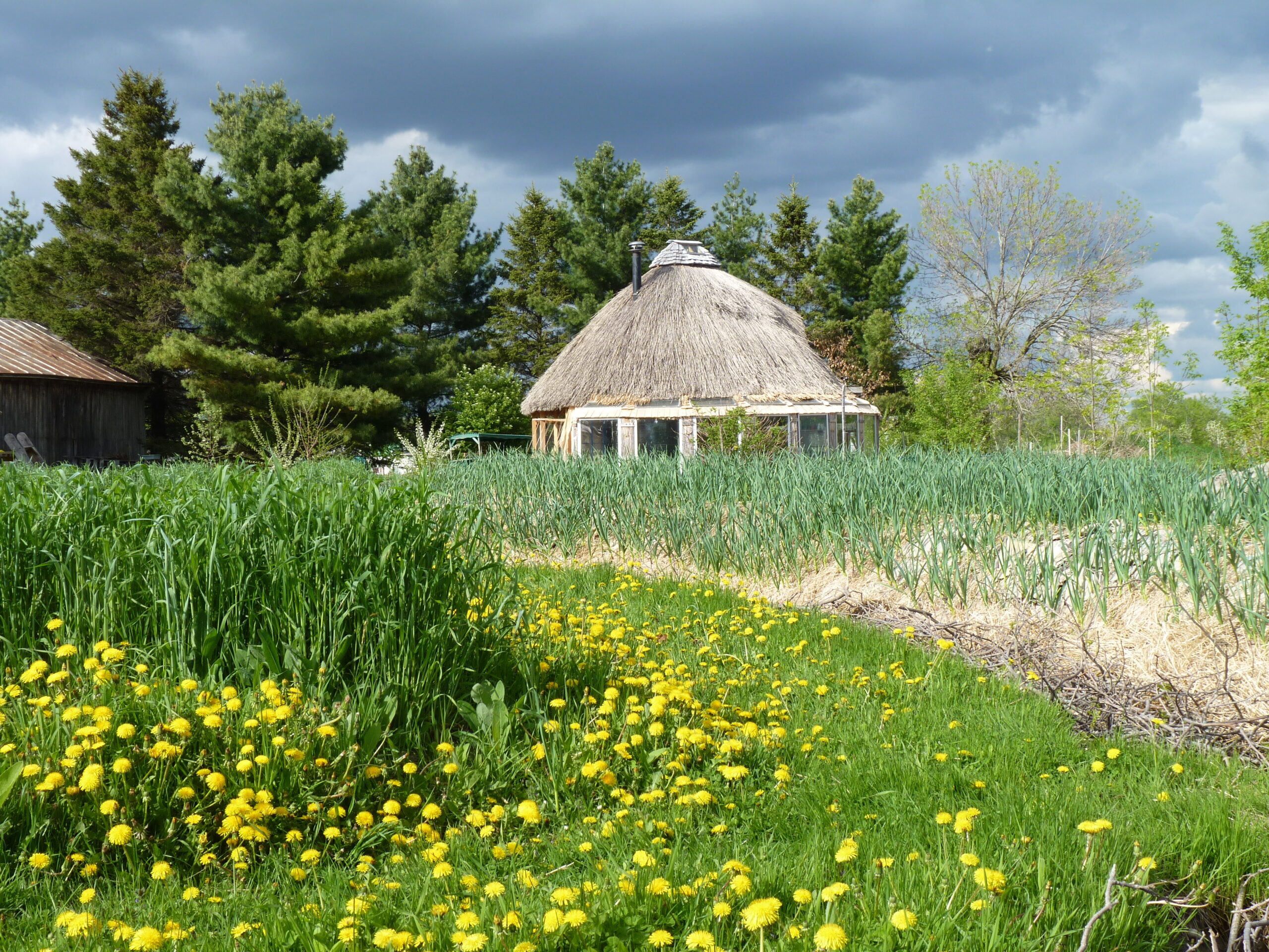 20140523-162006-Landscape-2014