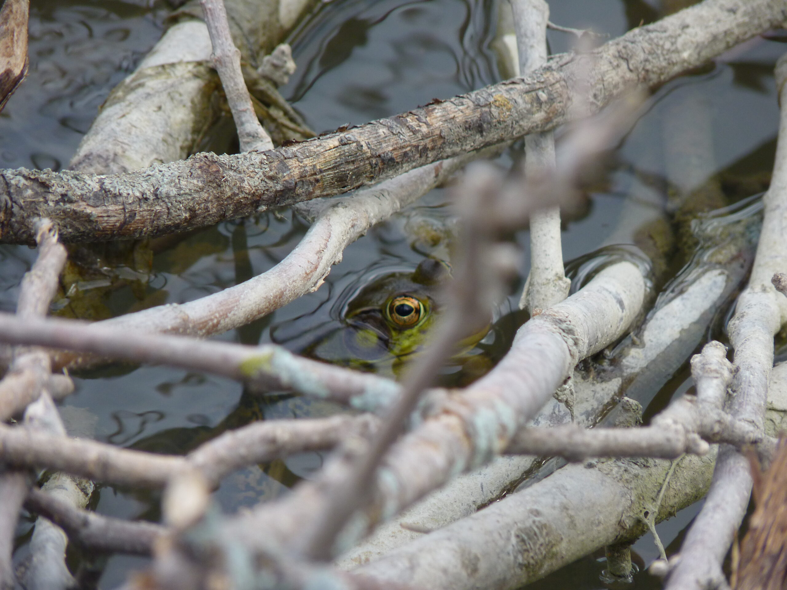 20140523-162952-Unknown-2014