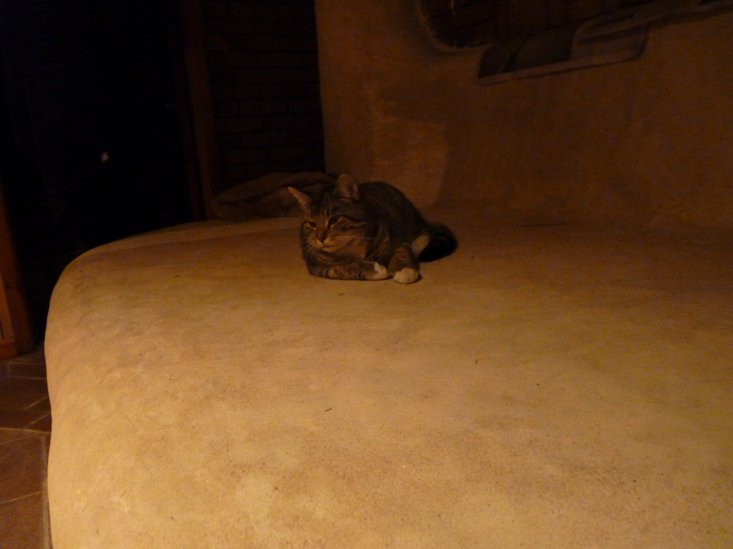 20141203-220422-Unknown-2014