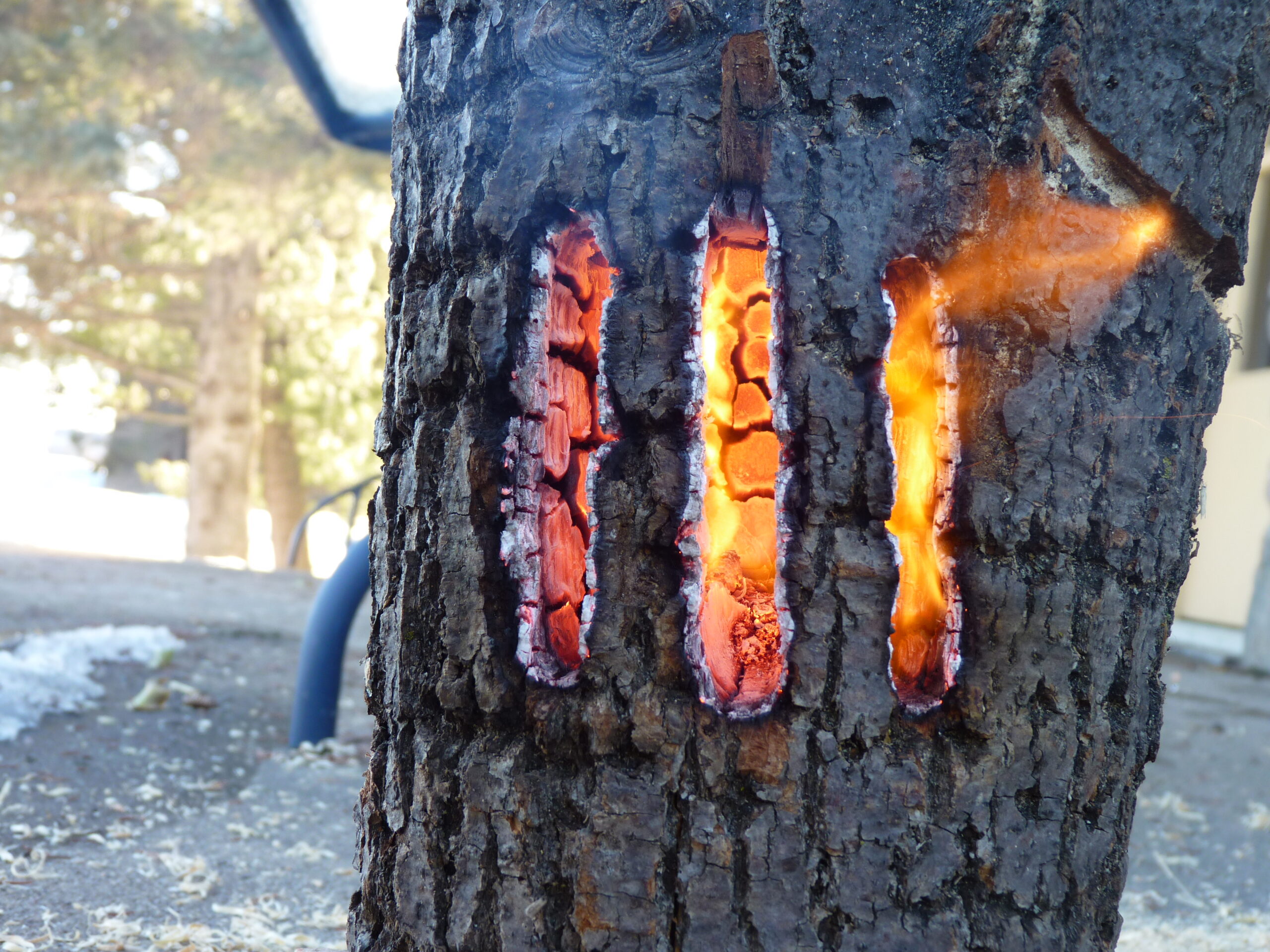 20150311-163451-Portrait-2015