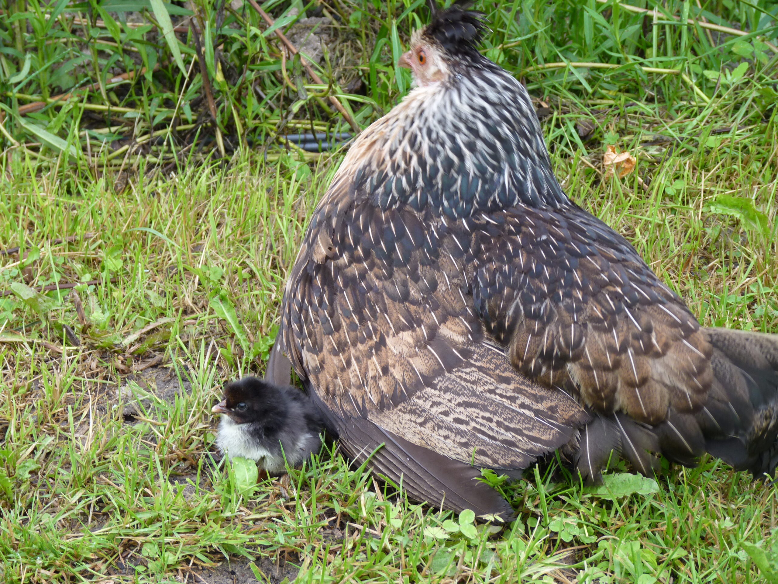 20150701-100439-Unknown-2015