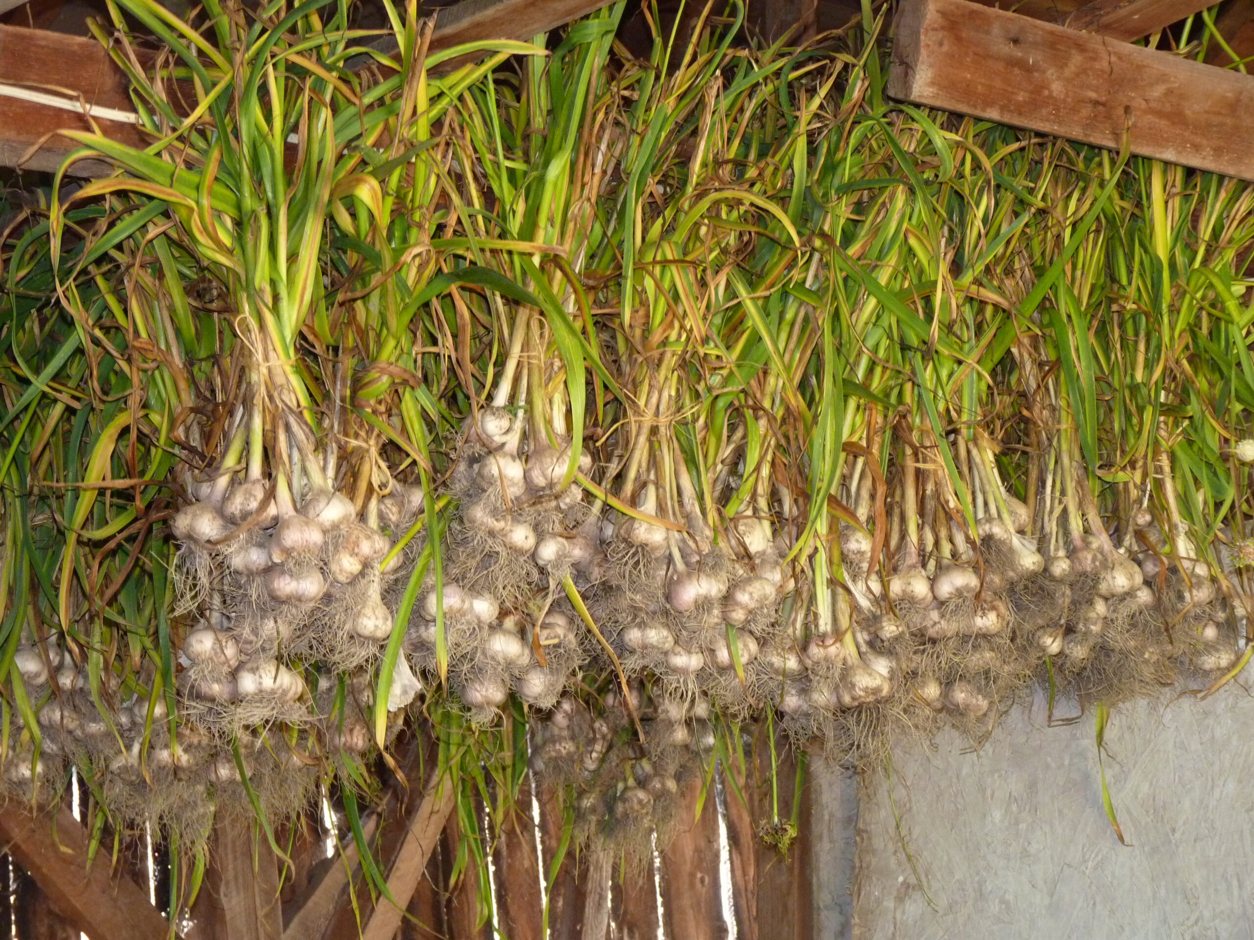 20150802-103155-Unknown-2015