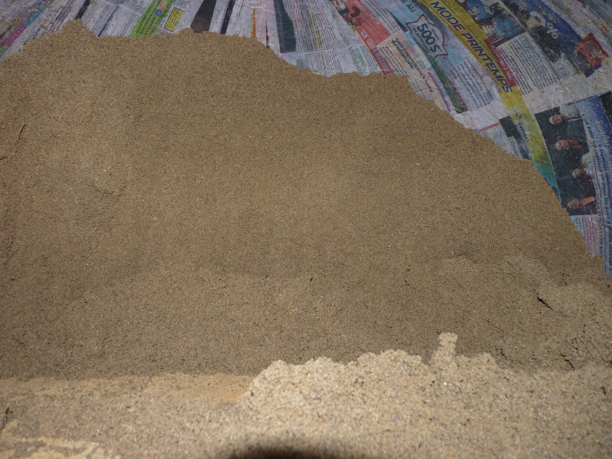 20160728-185452-Saint-Ambroise-De-Kildare-2016