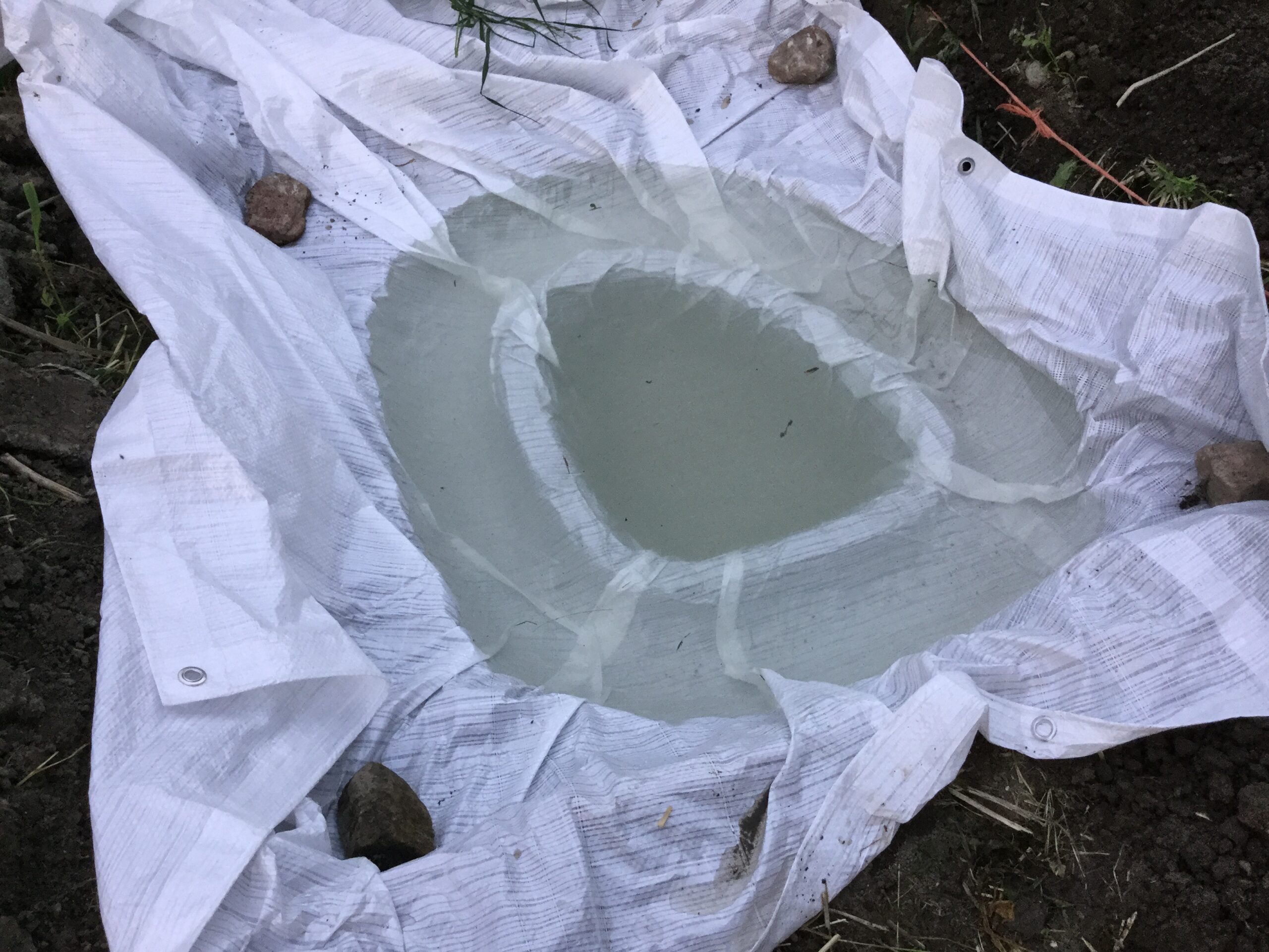 20170612-203647-Saint-Ambroise-De-Kildare-2017