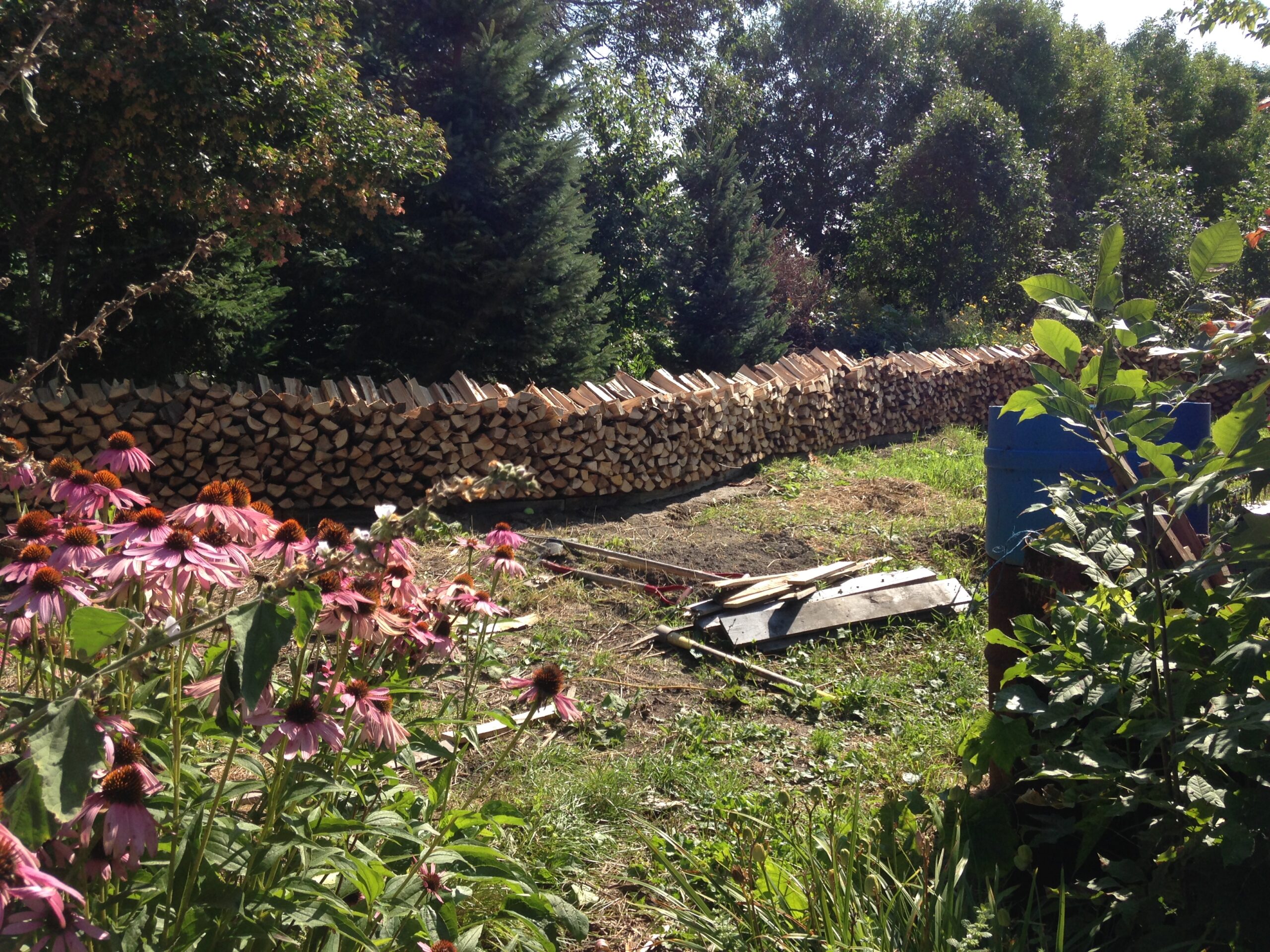 20170826-101156-Unknown-2017