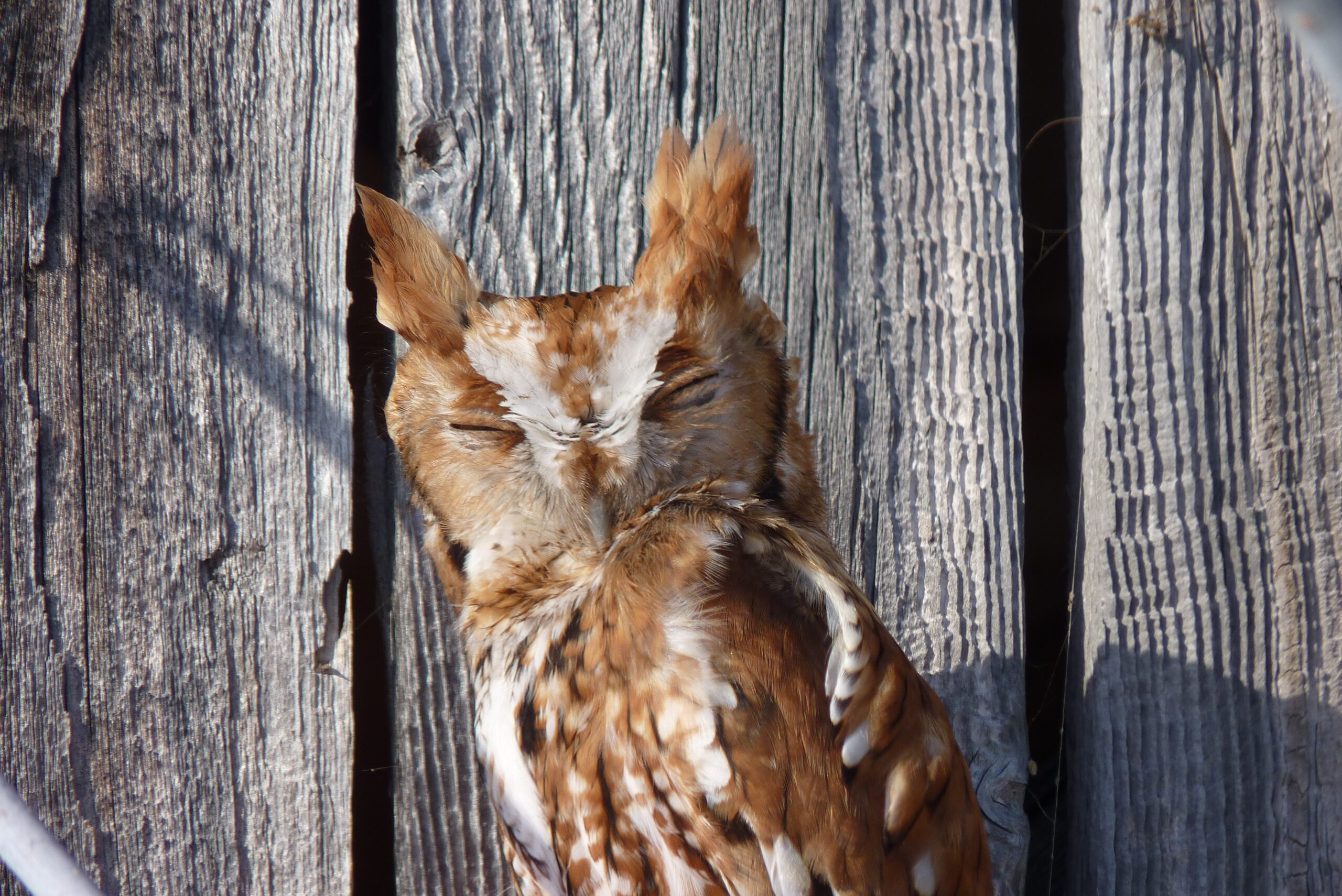 20171230-132246-Unknown-2017