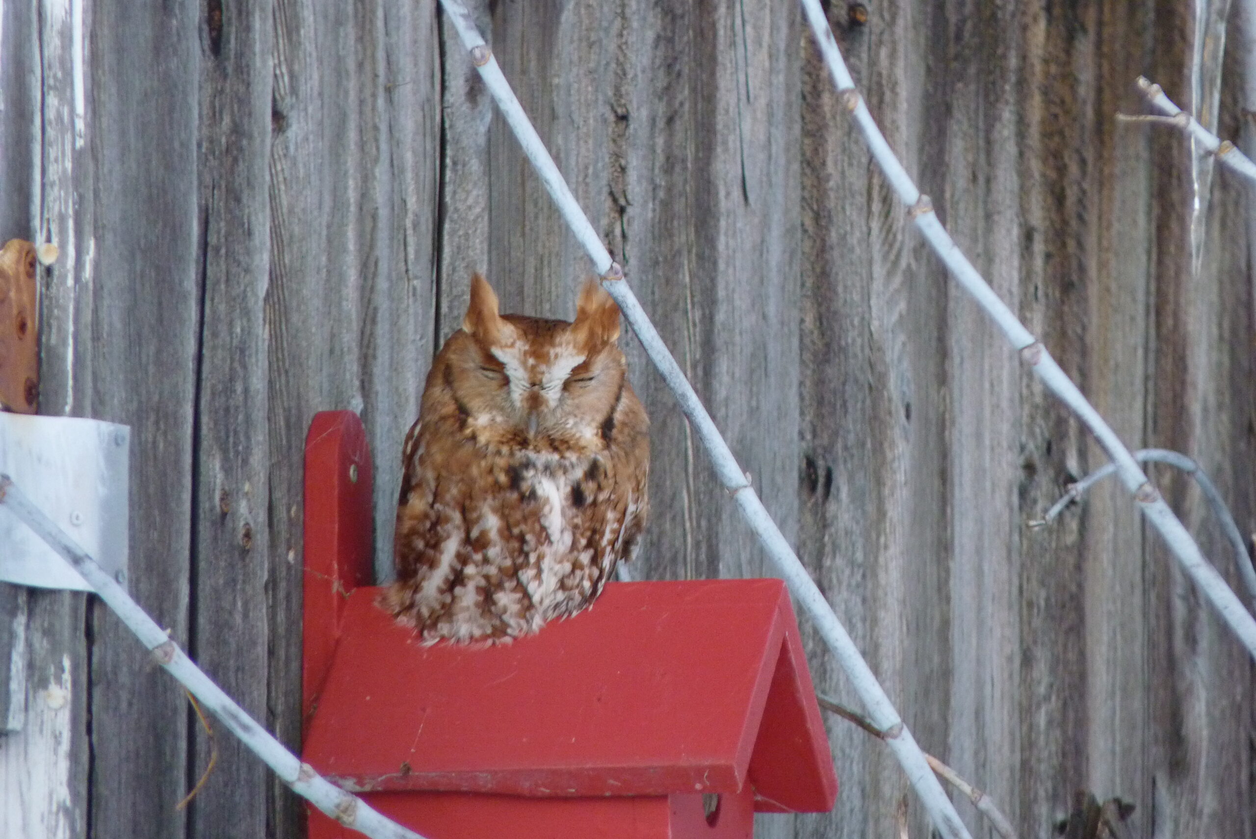 20171230-155800-Outdoor-2017