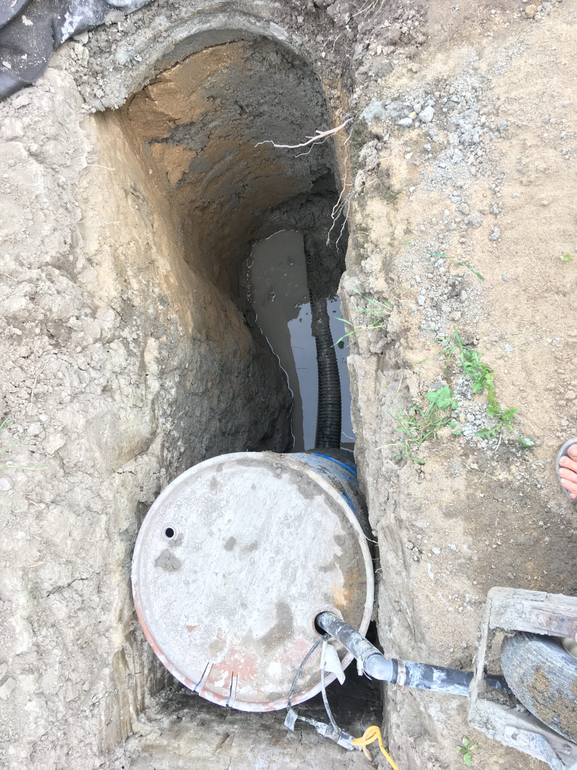 20180905-170051-Saint-Ambroise-De-Kildare-2018