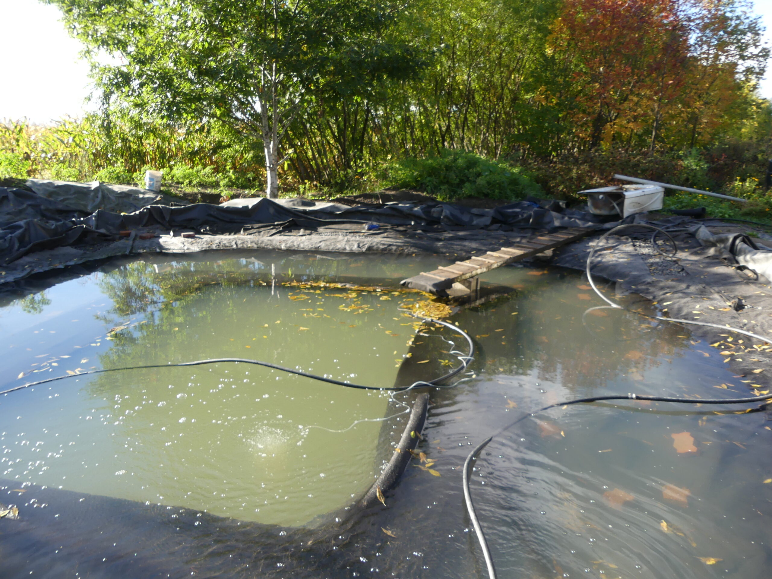 20181012-092455-Unknown-2018