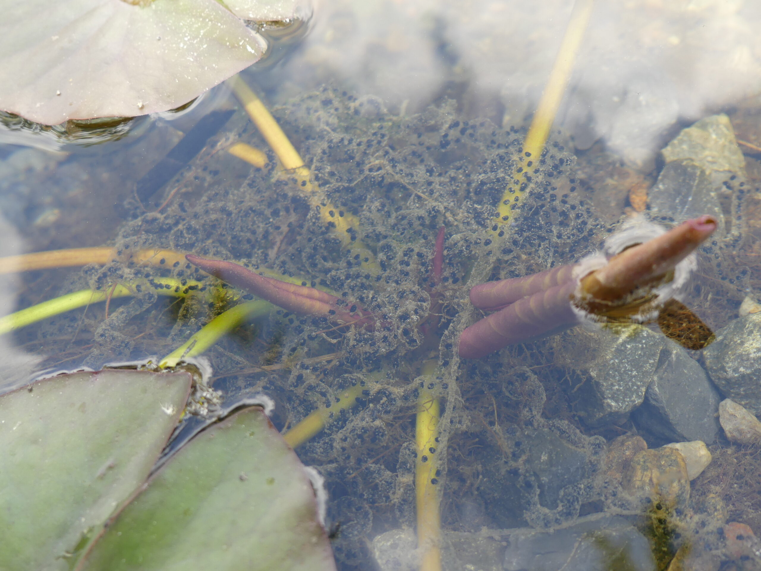 20190627-115436-Unknown-2019