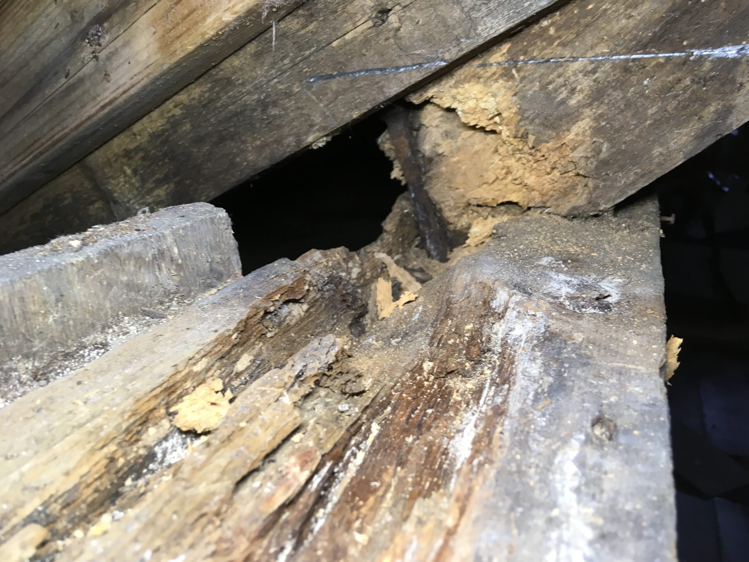 20190816-113428-Saint-Ambroise-De-Kildare-2019