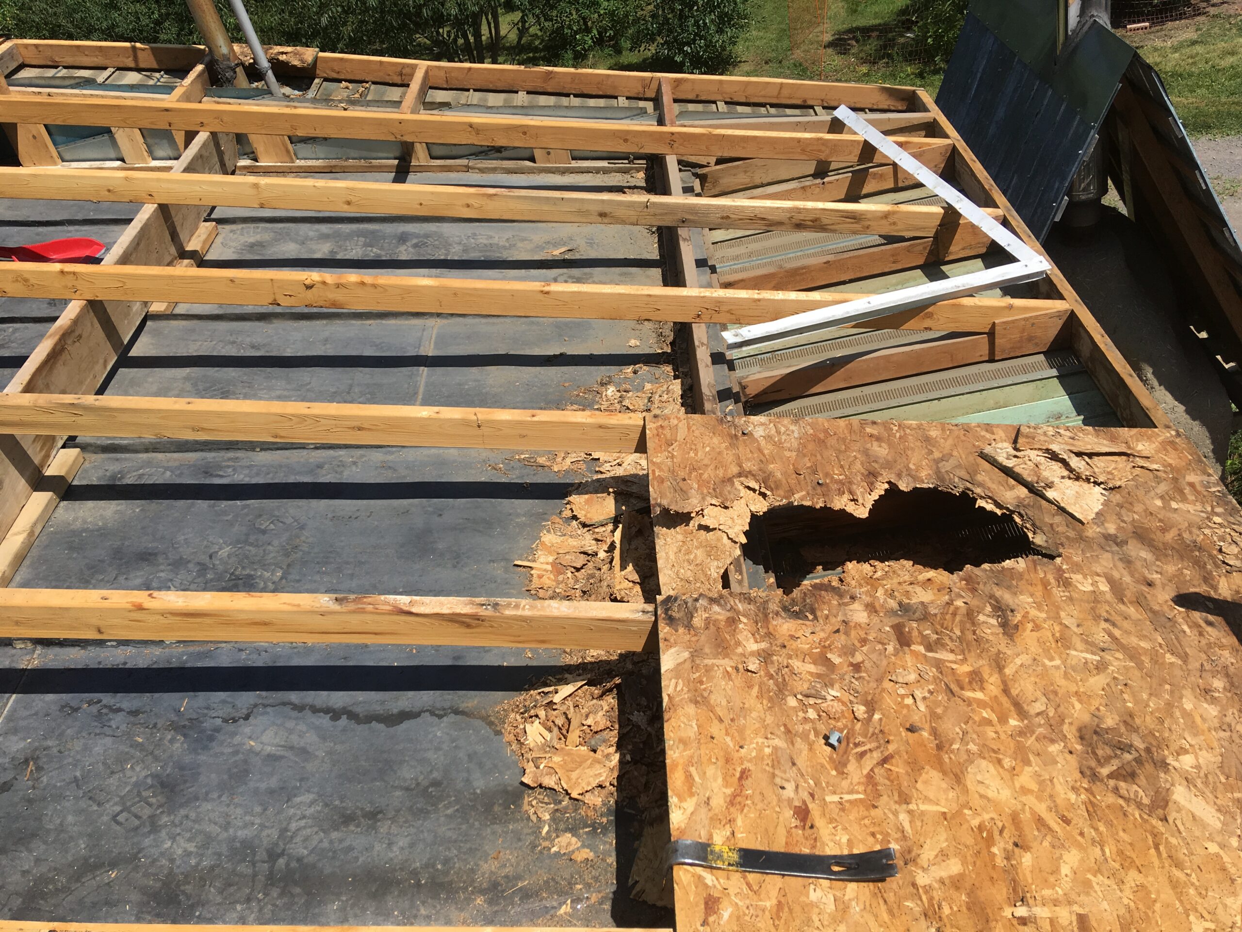 20190820-124525-Landscape-Canada-2019