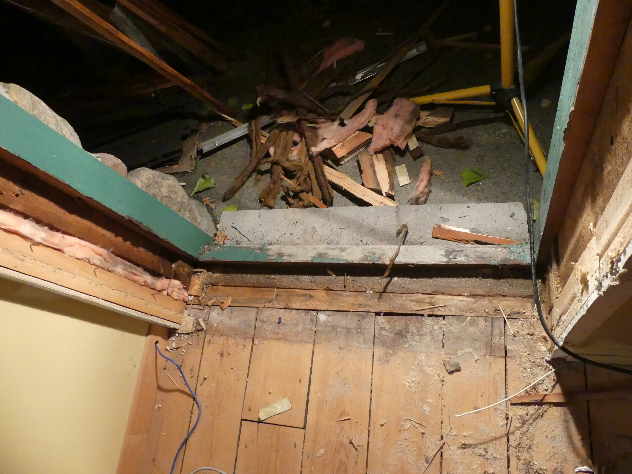 20191026-195520-Saint-Ambroise-De-Kildare-2019