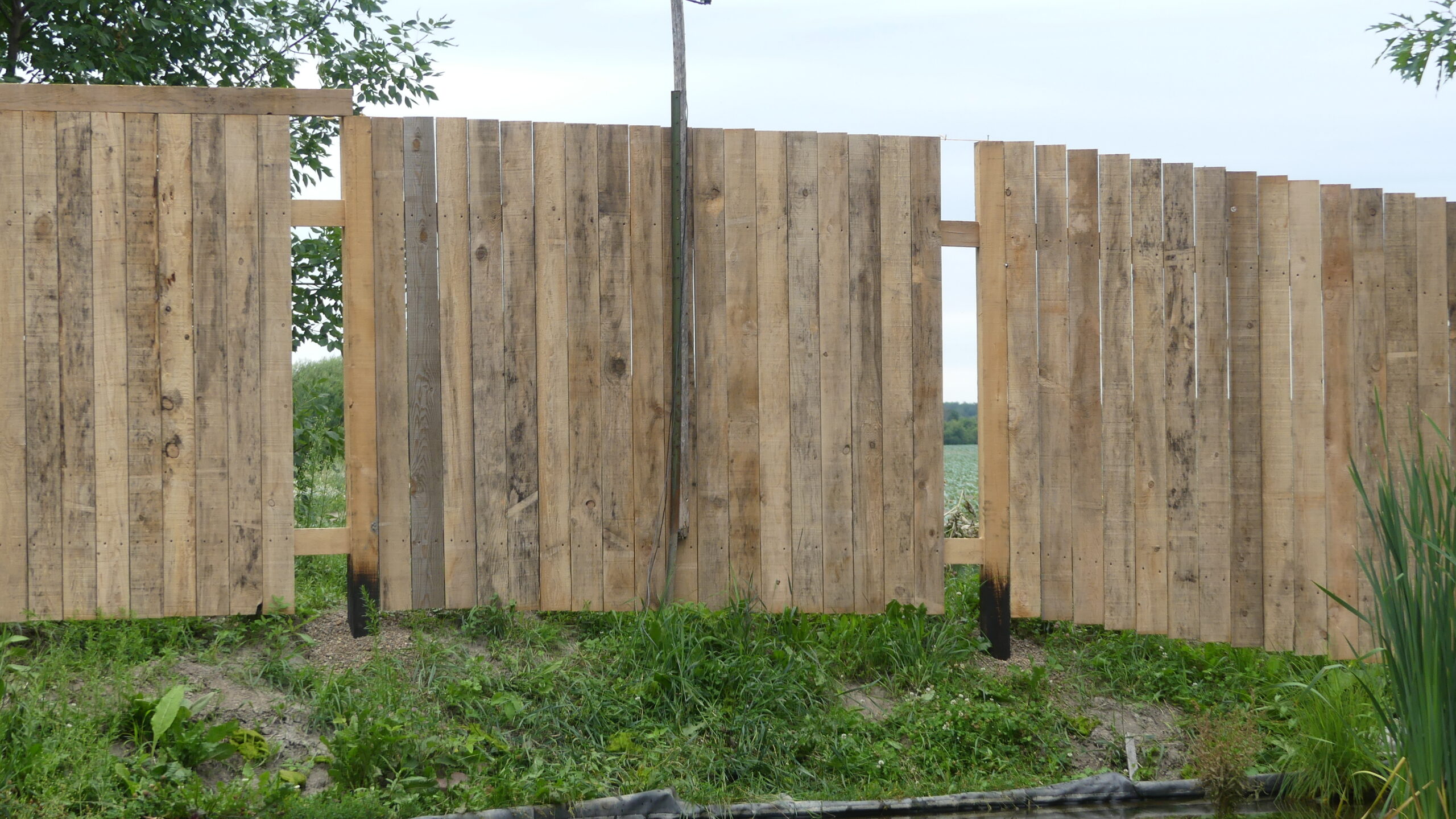 20200722-181732-Unknown-2020