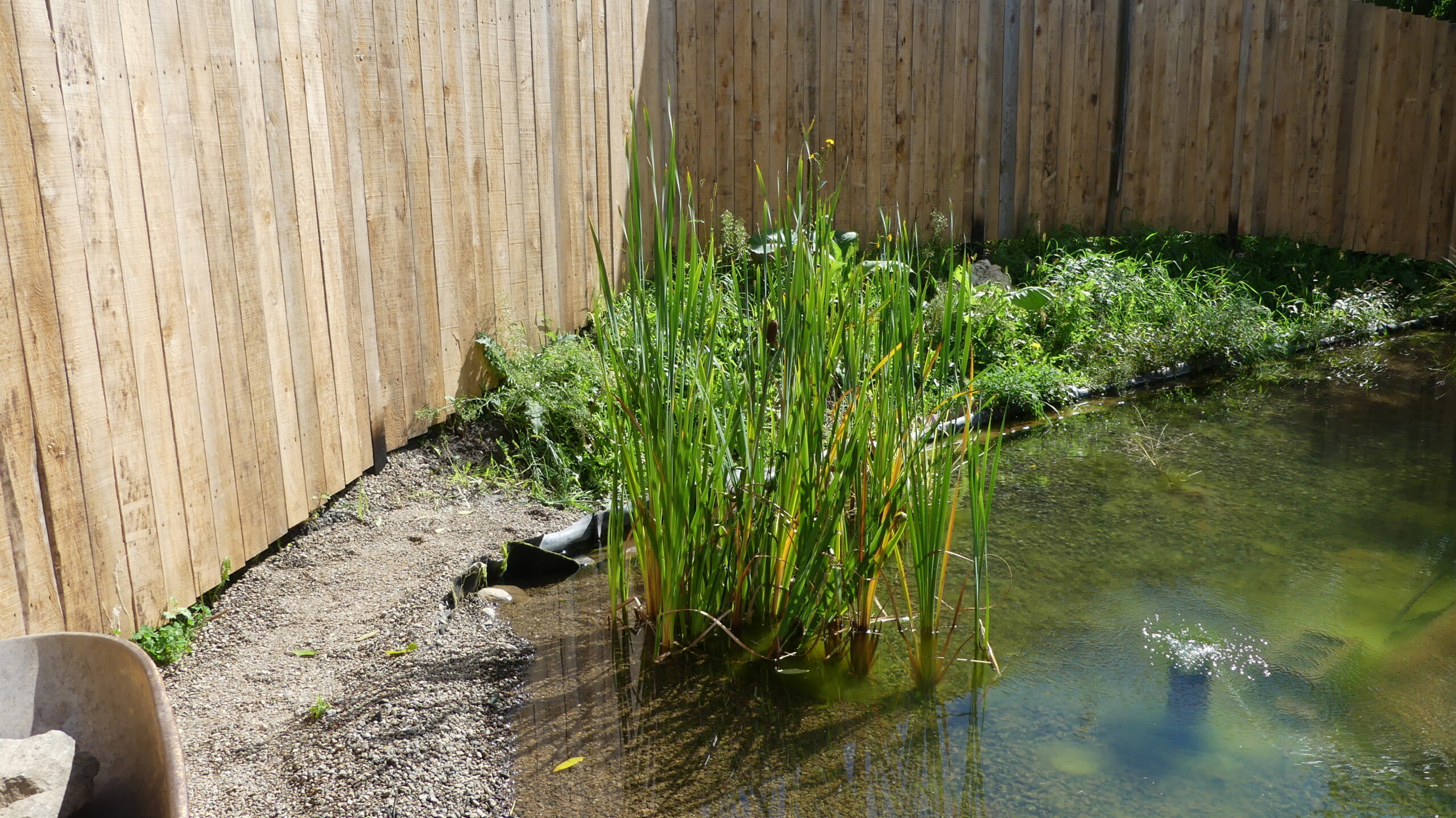 20200911-133150-Saint-Liguori-Canada-2020