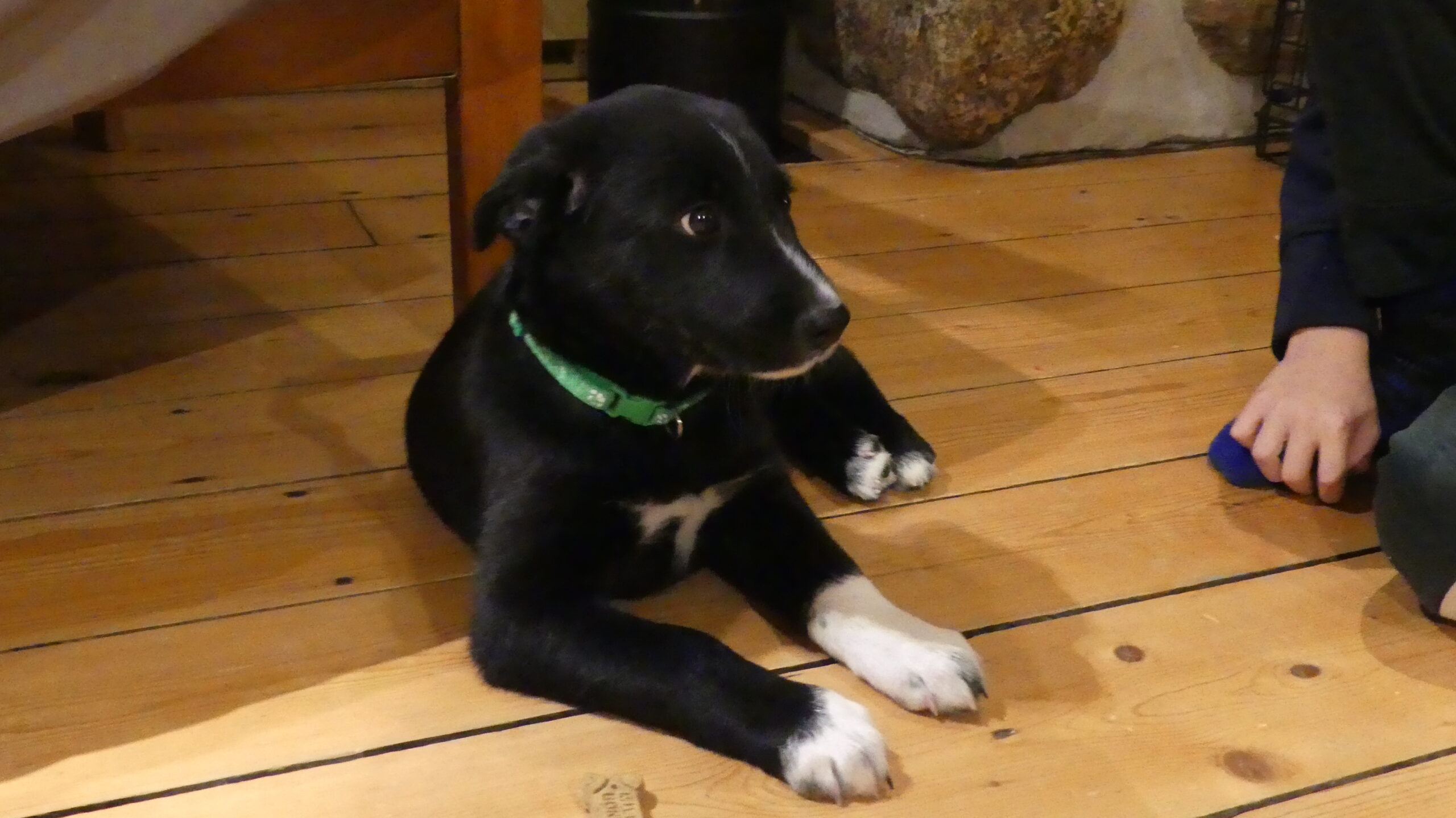 20210109-182051-Saint-Ambroise-De-Kildare-2021