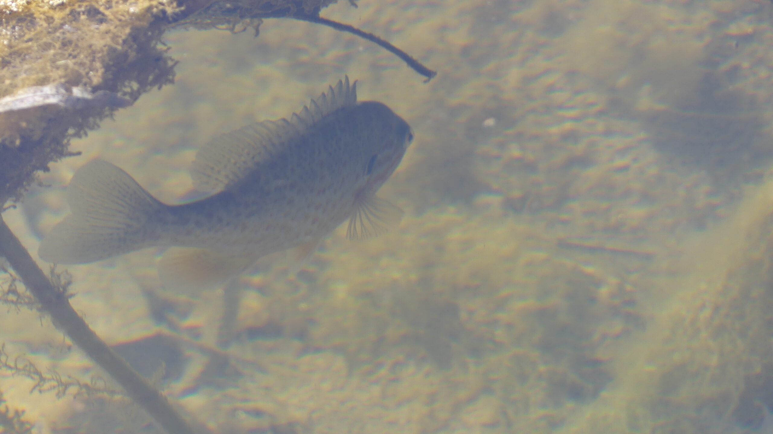 20210418-121720-Unknown-2021