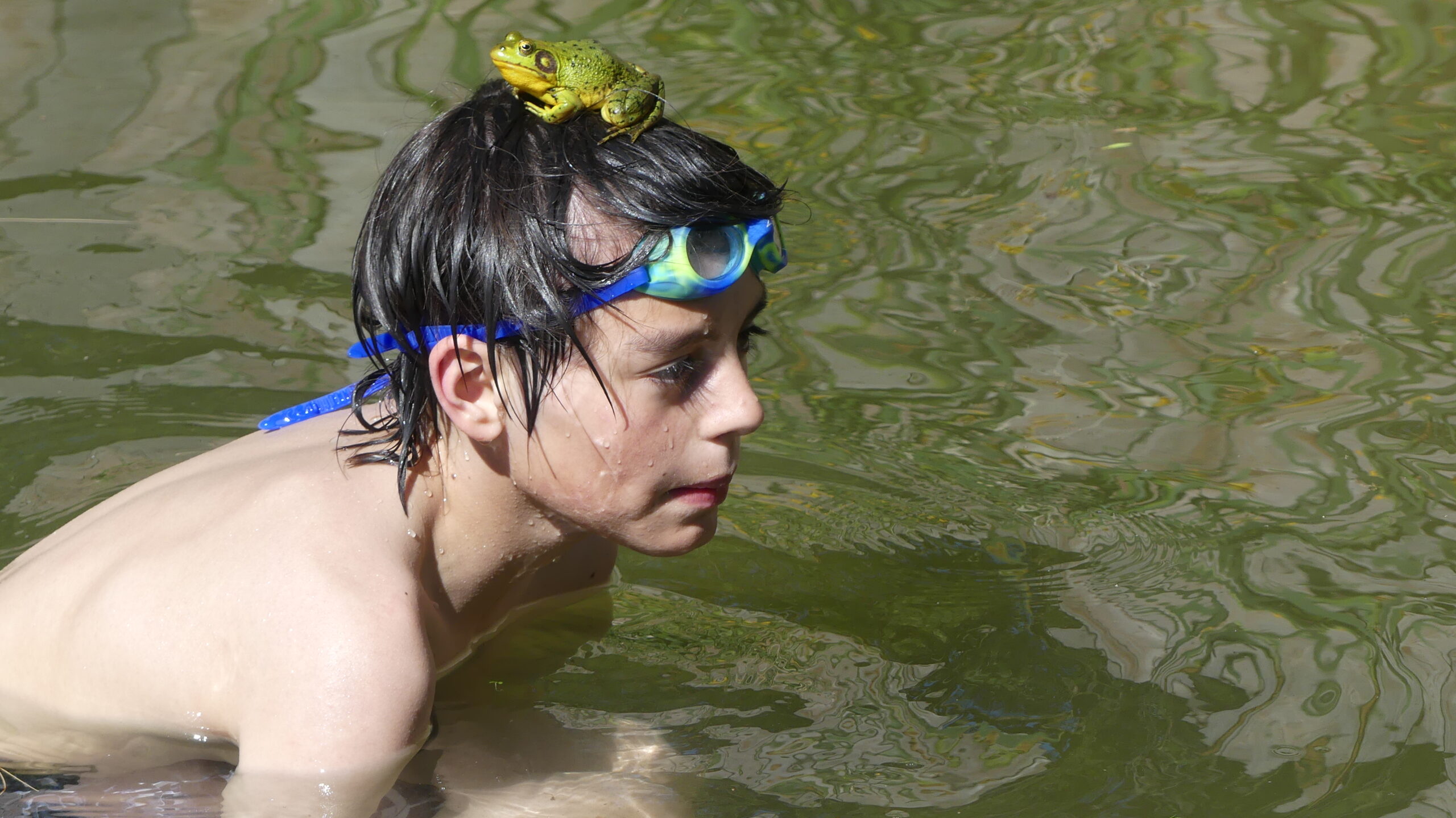 20210609-160249-Diving-2021