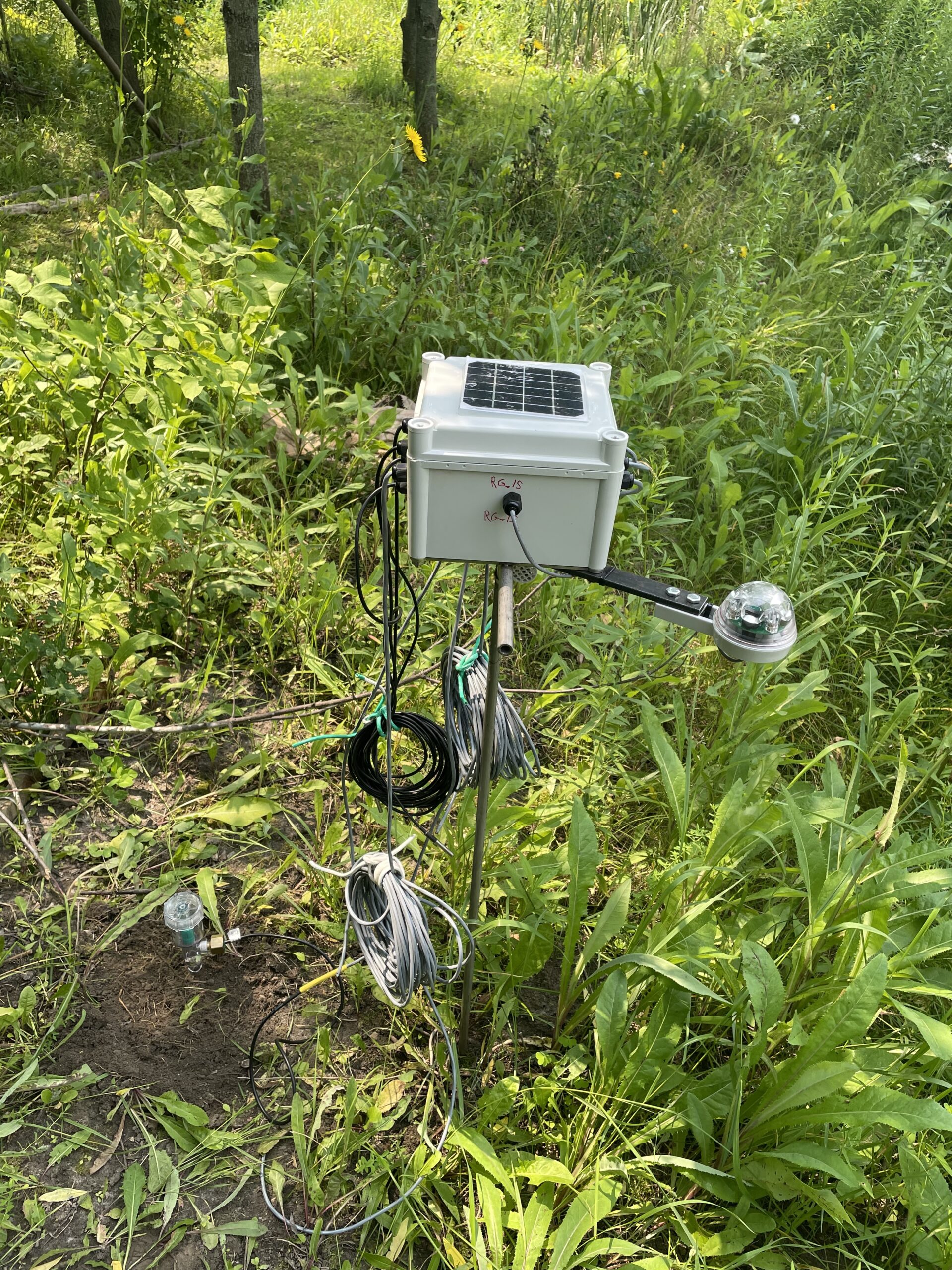 20210803-132903-School-Wotton-2021