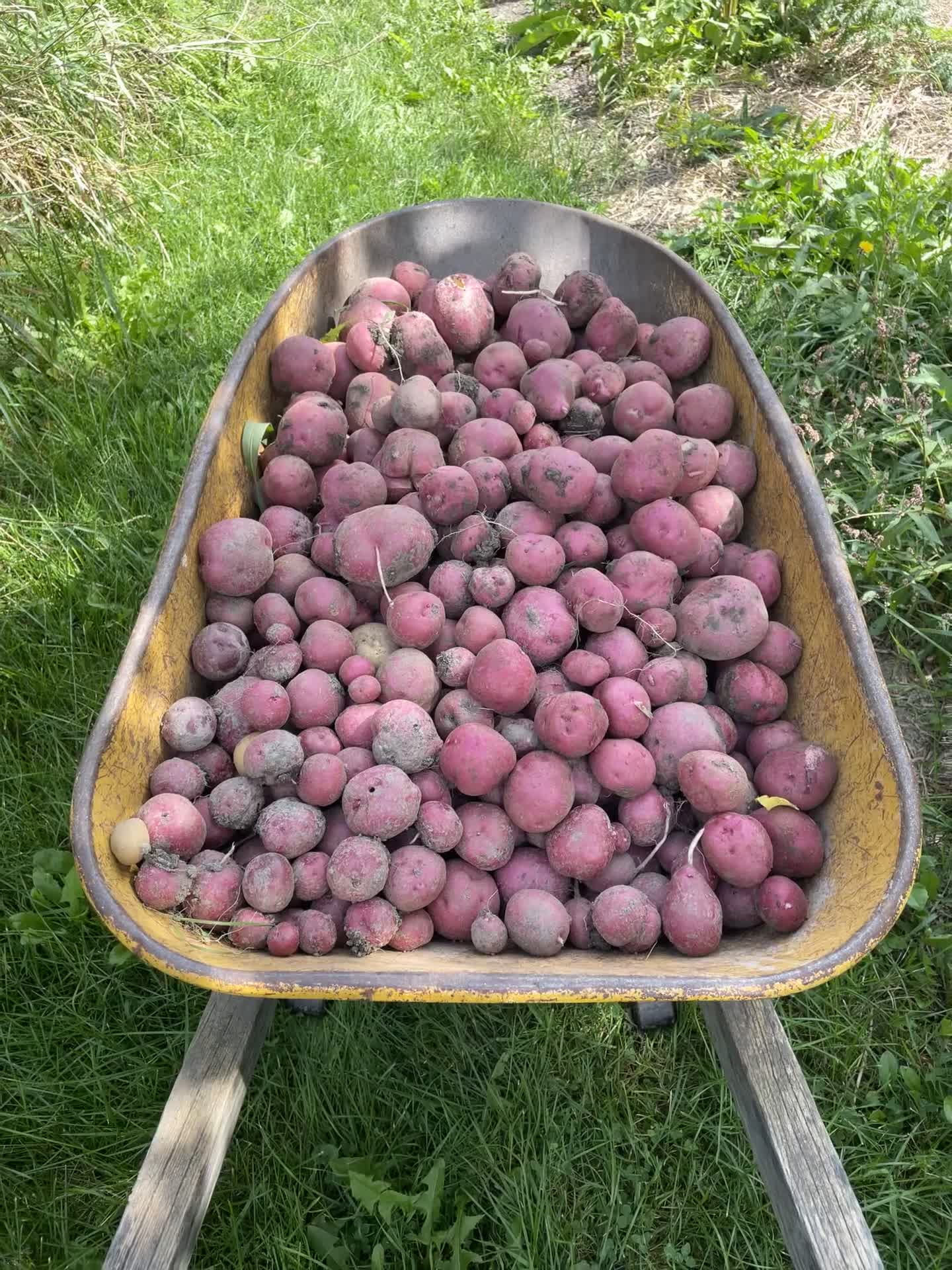 20210901-114613-Photos-2021