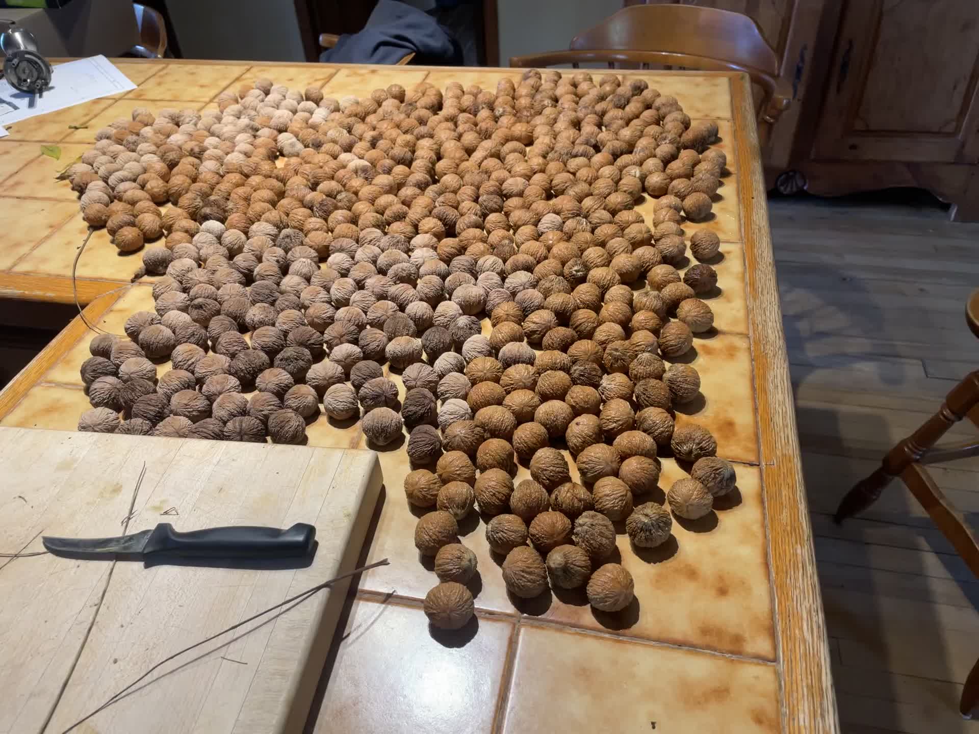 20211023-140224-Photos-2021