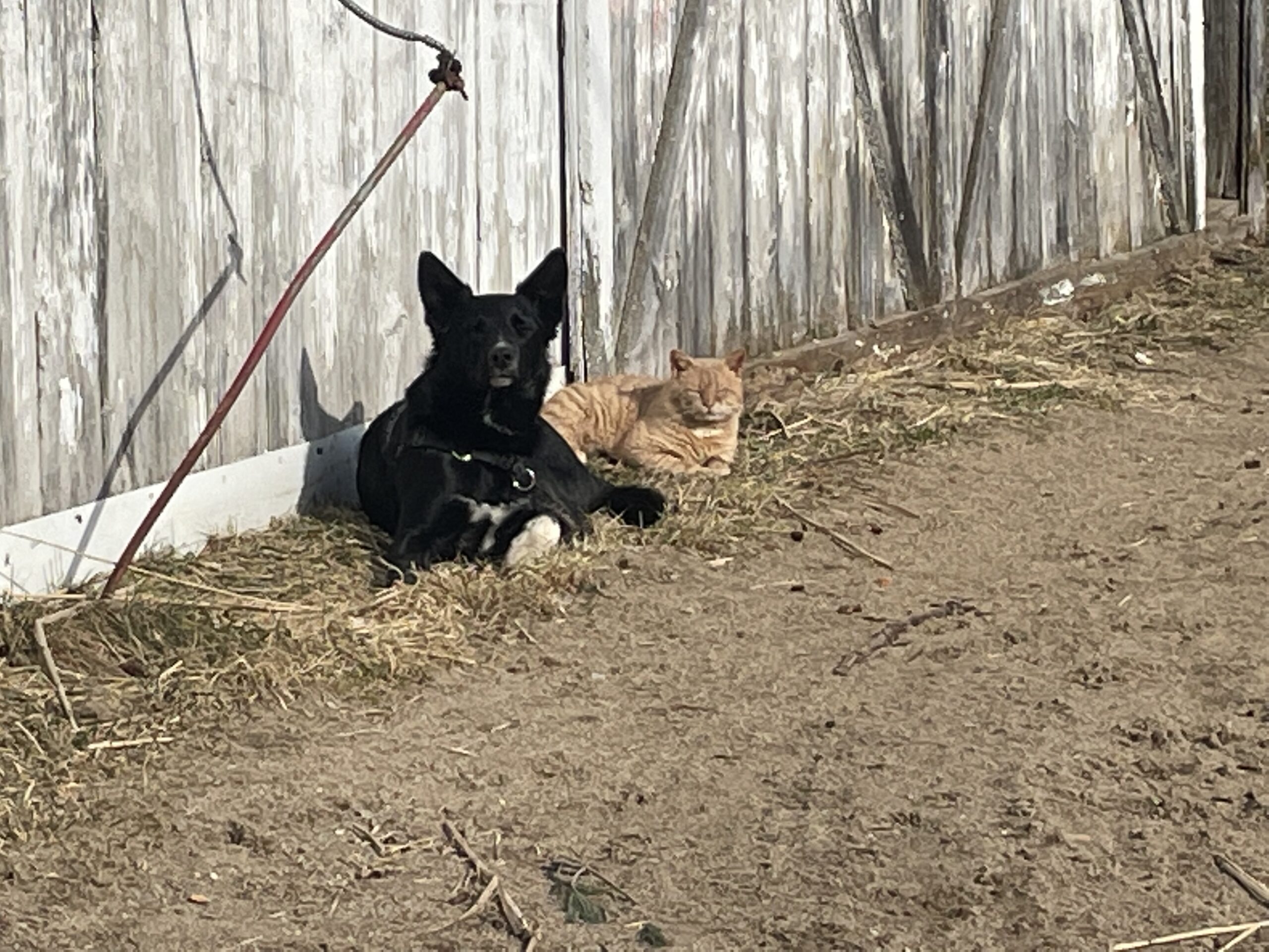 20220415-163948-Saint-Ambroise-De-Kildare-2022