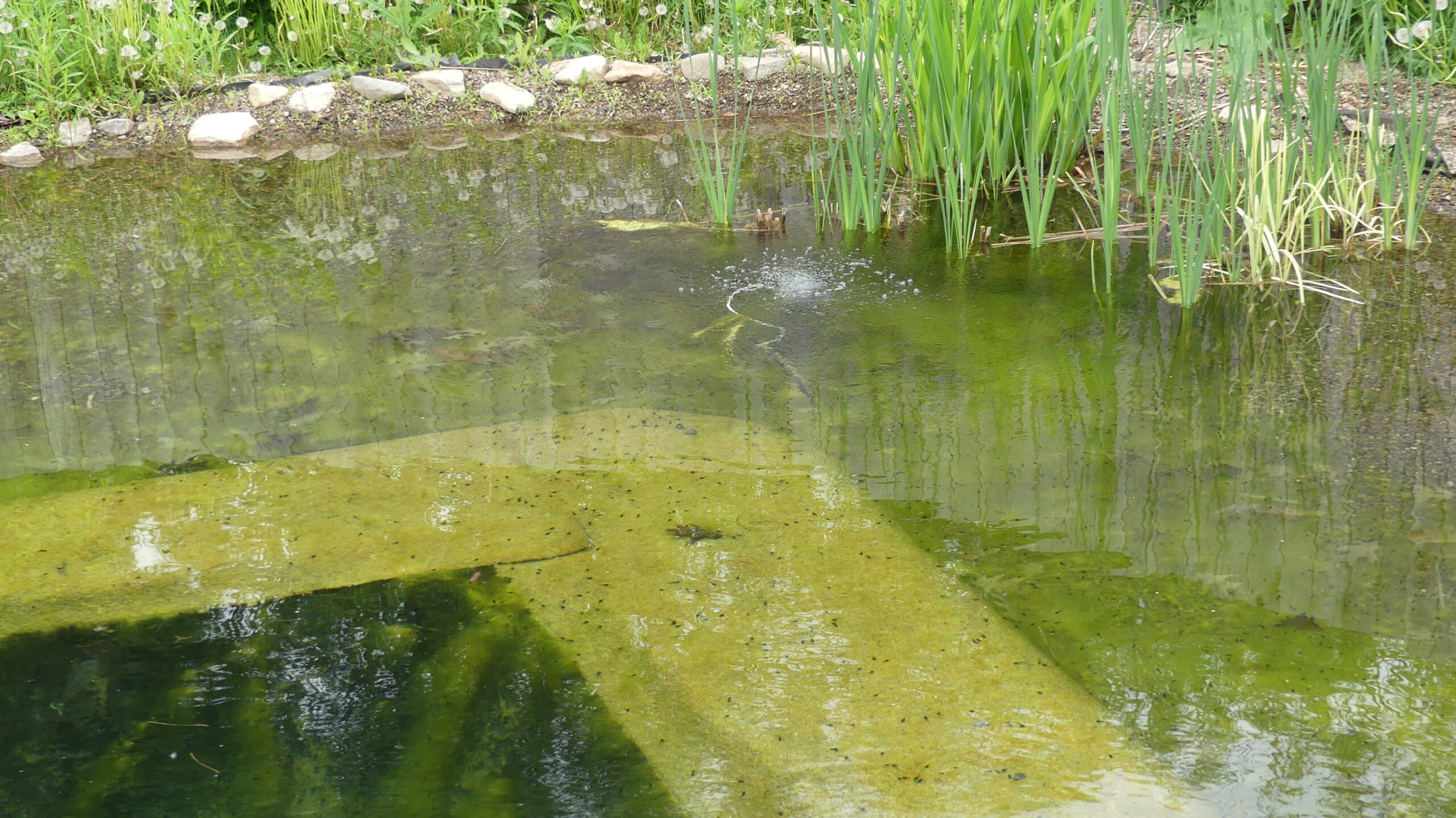 20220601-130051-Unknown-2022