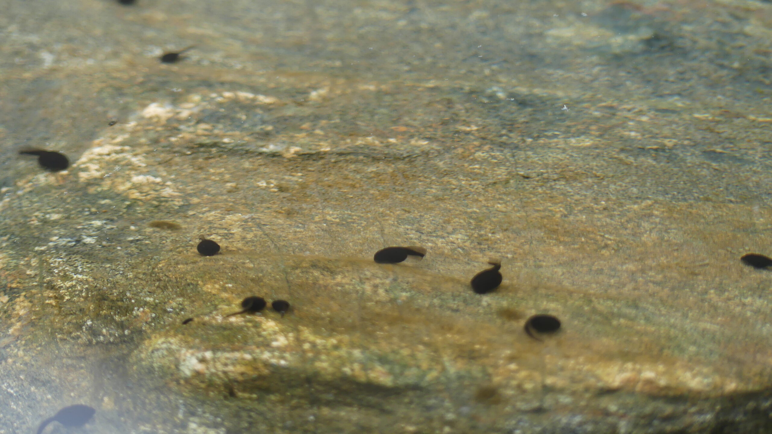 20220601-130212-Unknown-2022