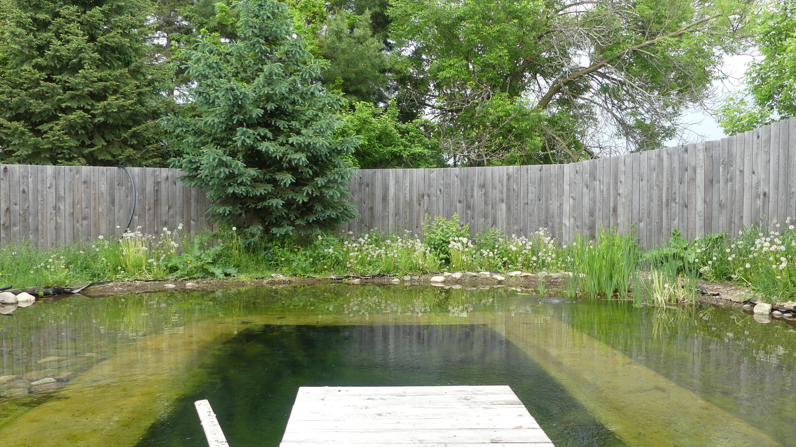 20220601-130347-Landscape-2022