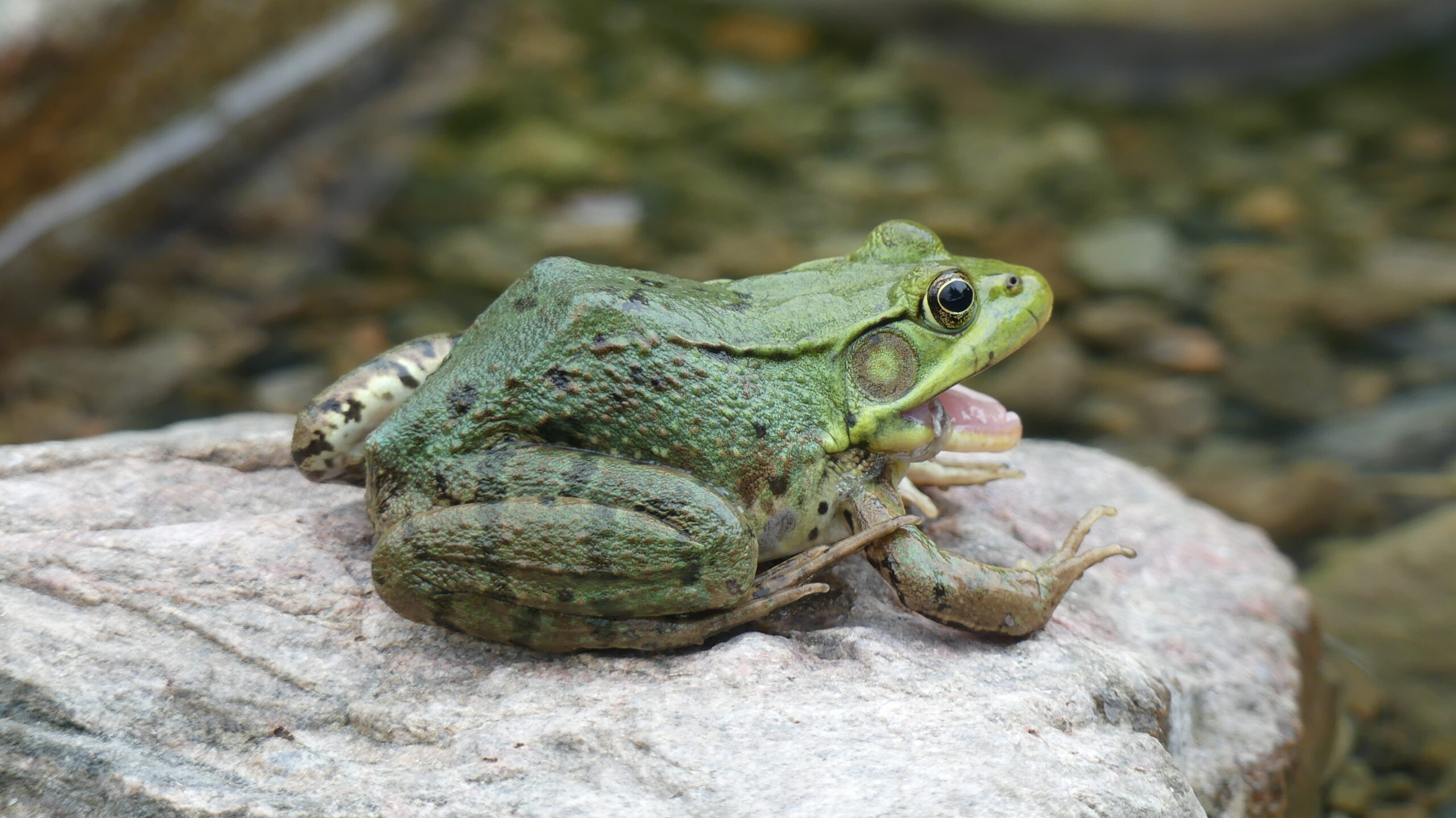 20220718-145659-Unknown-2022