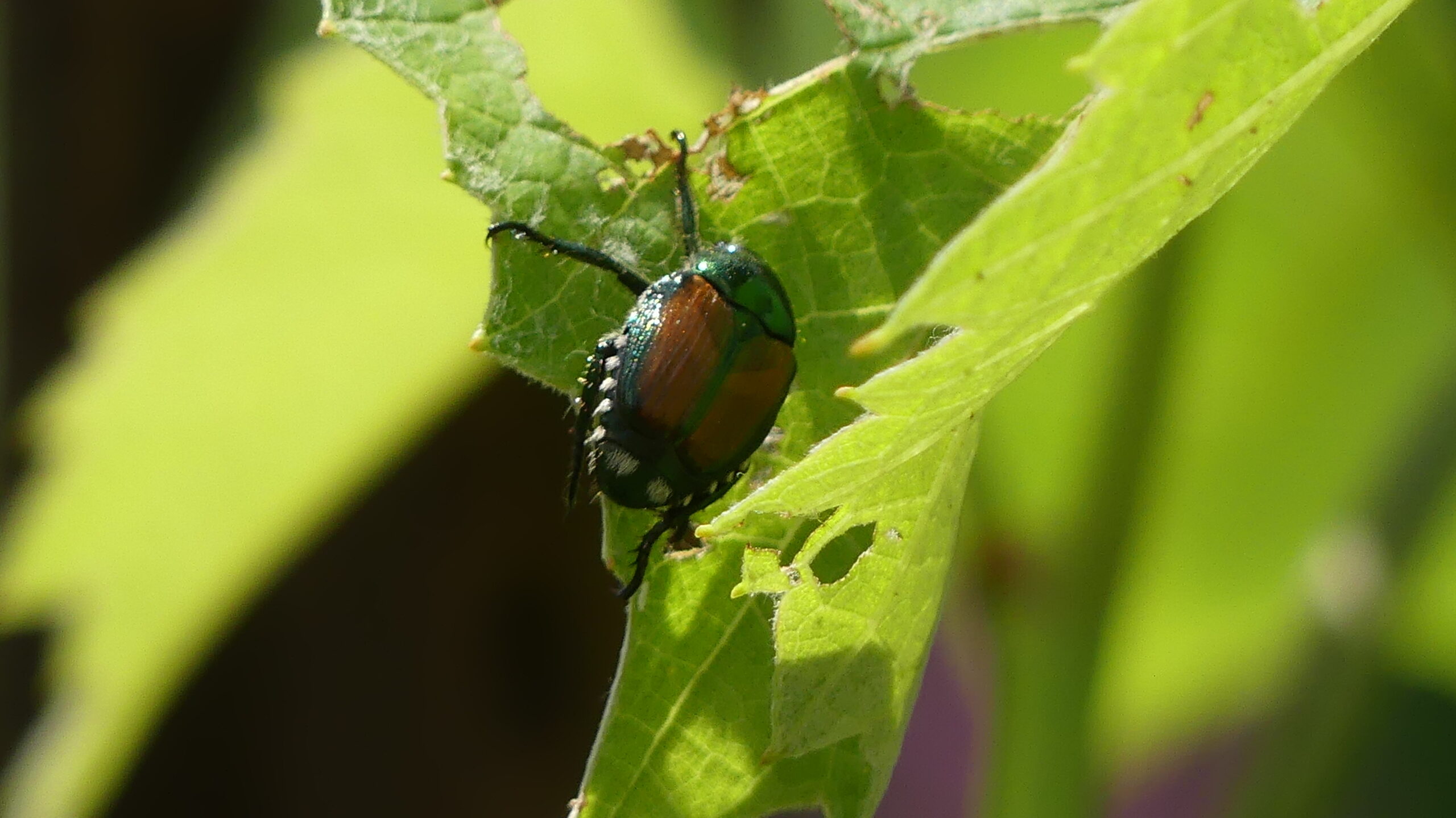 20220722-123944-Unknown-2022