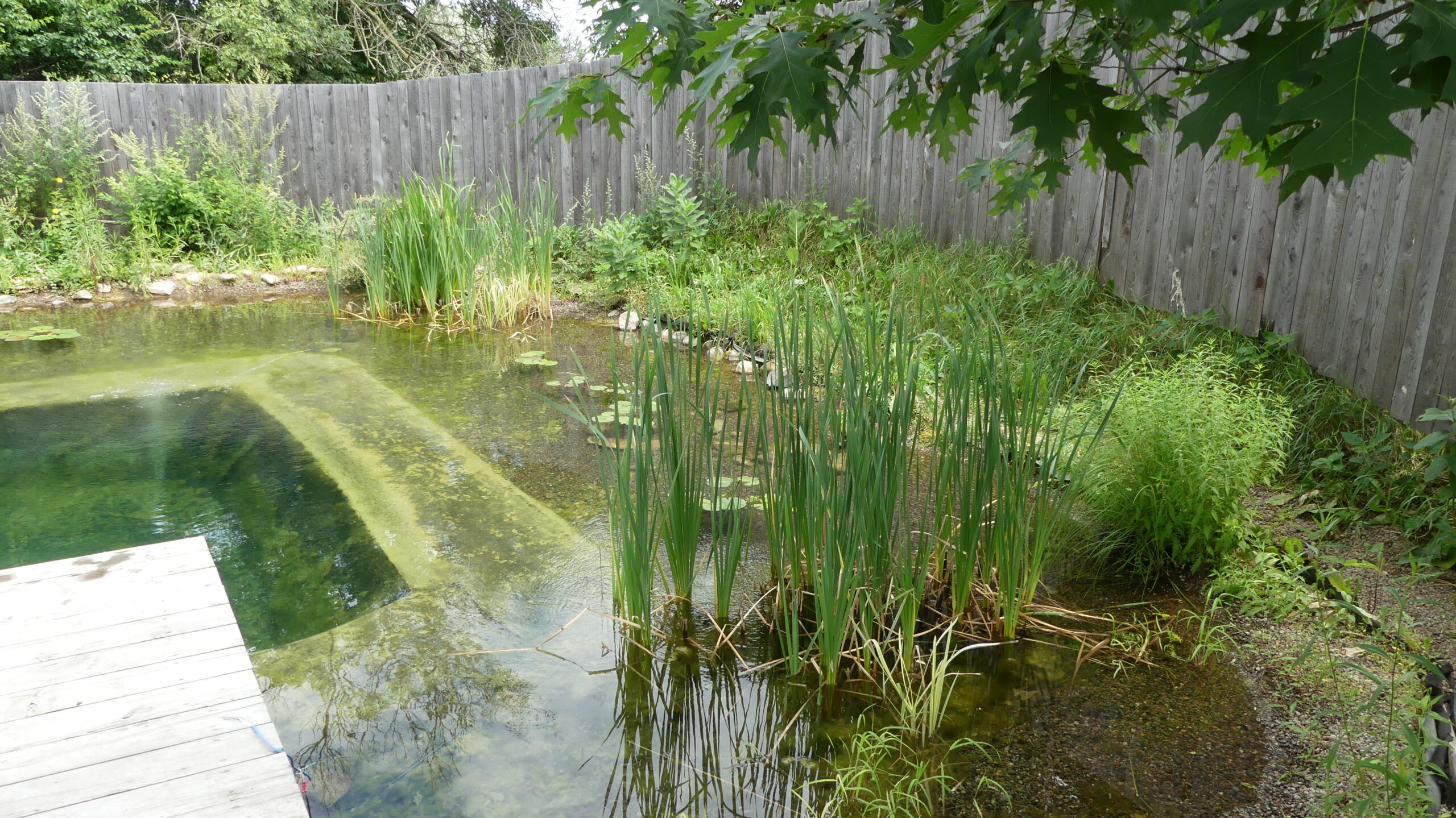 20220723-121040-Landscape-Canada-2022