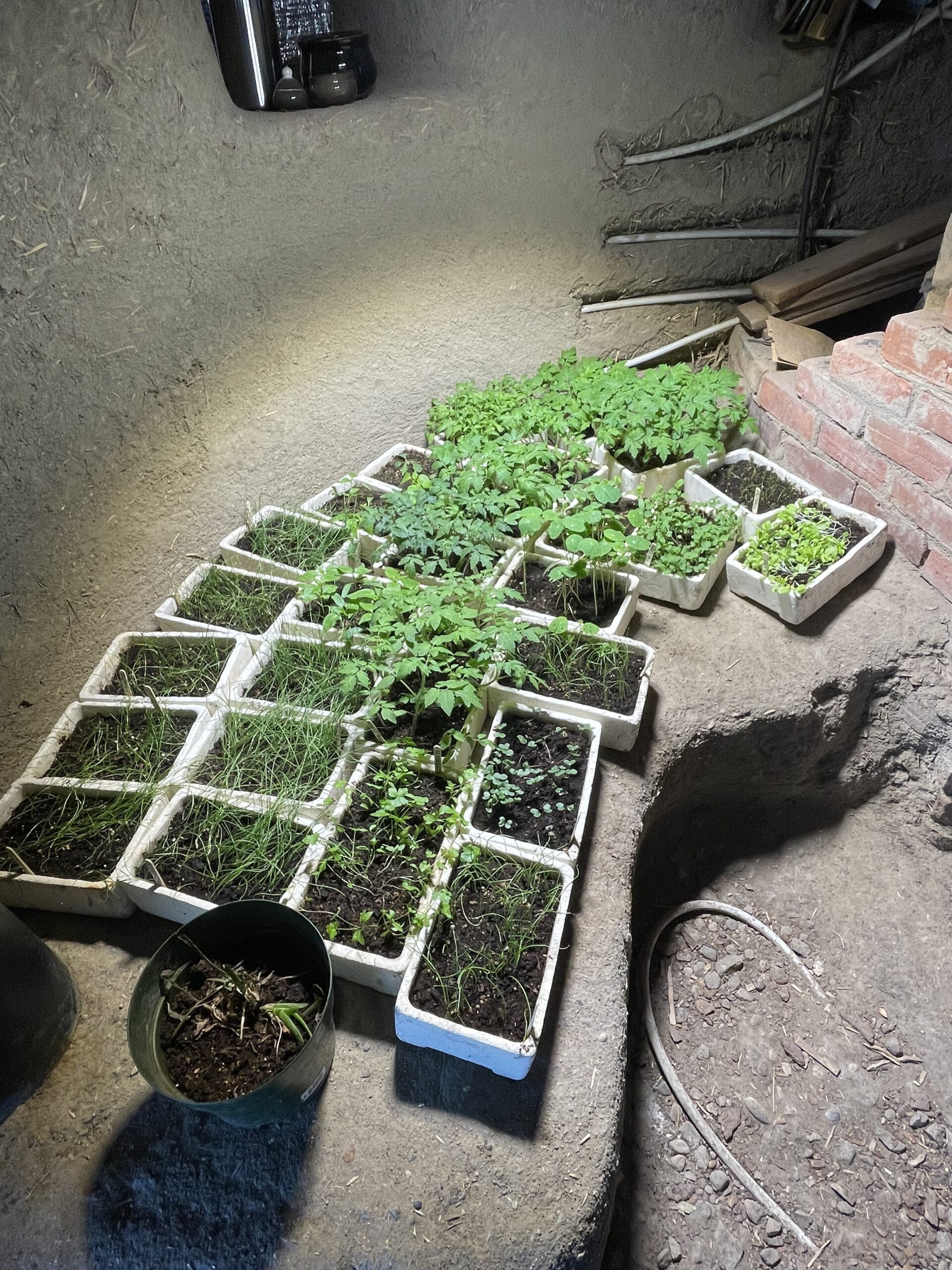 20230409-155542-Saint-Ambroise-De-Kildare-2023