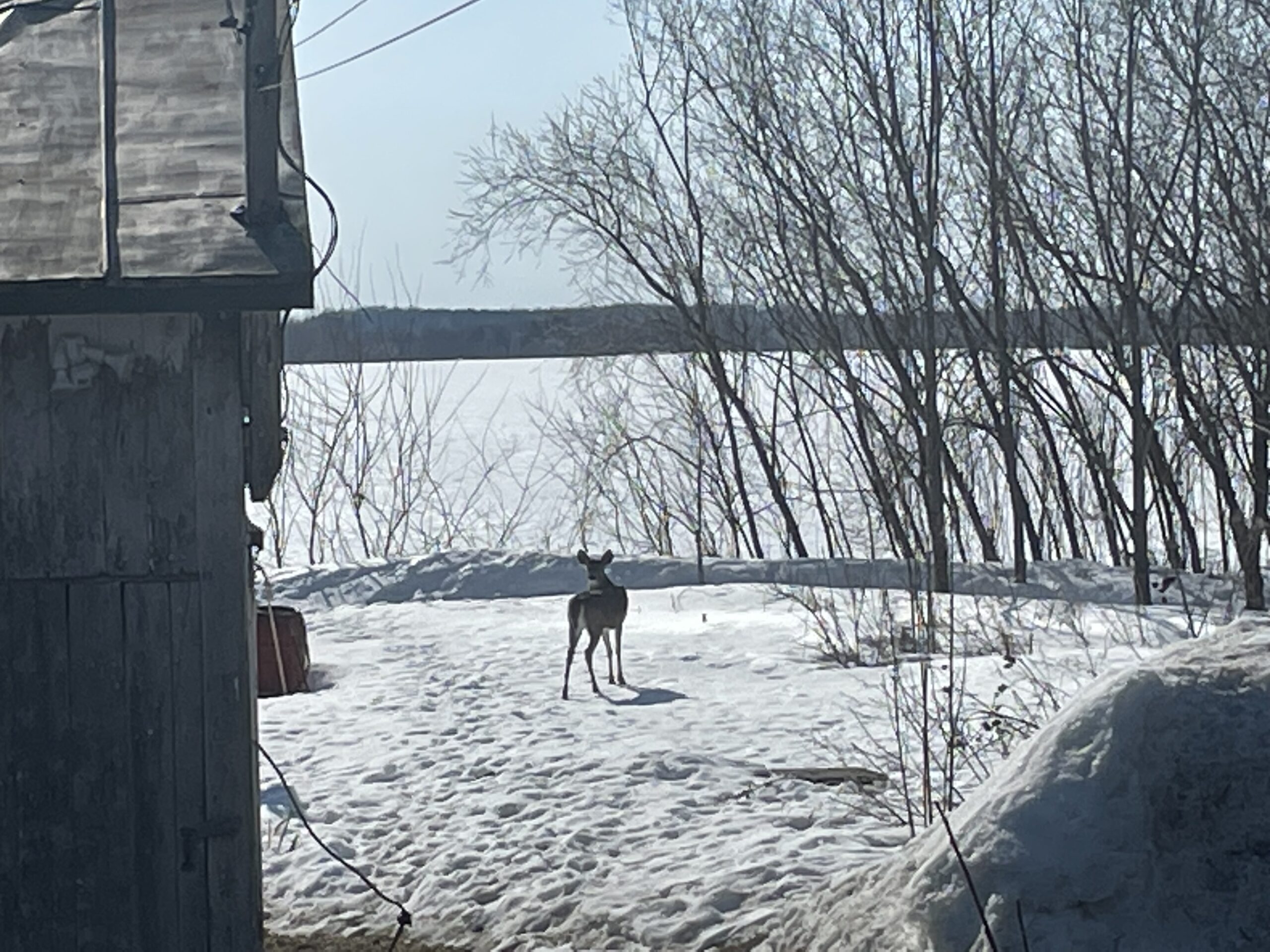 20230410-094229-Saint-Ambroise-De-Kildare-2023