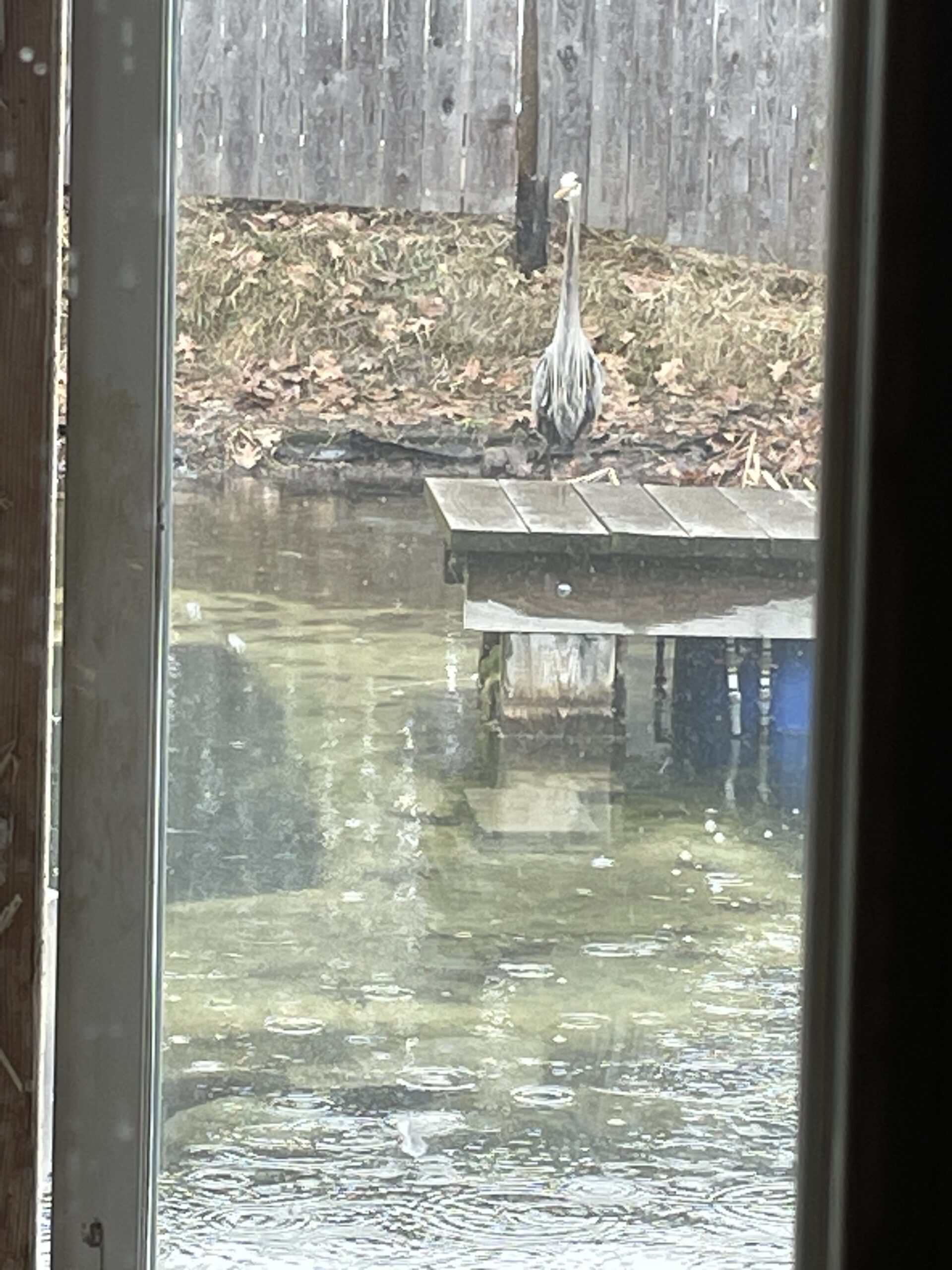 20230417-141918-Saint-Ambroise-De-Kildare-2023