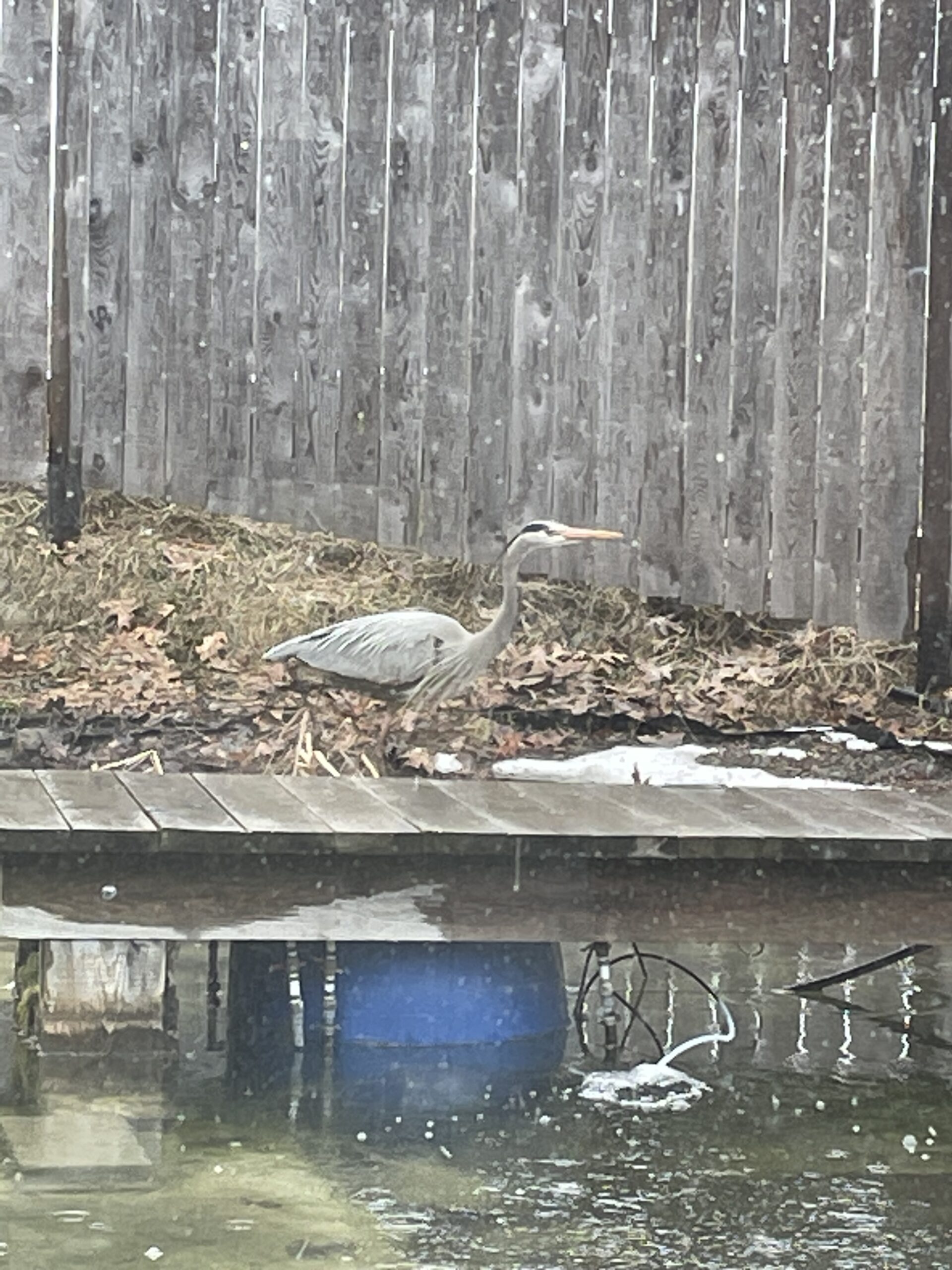 20230417-141951-Saint-Ambroise-De-Kildare-2023