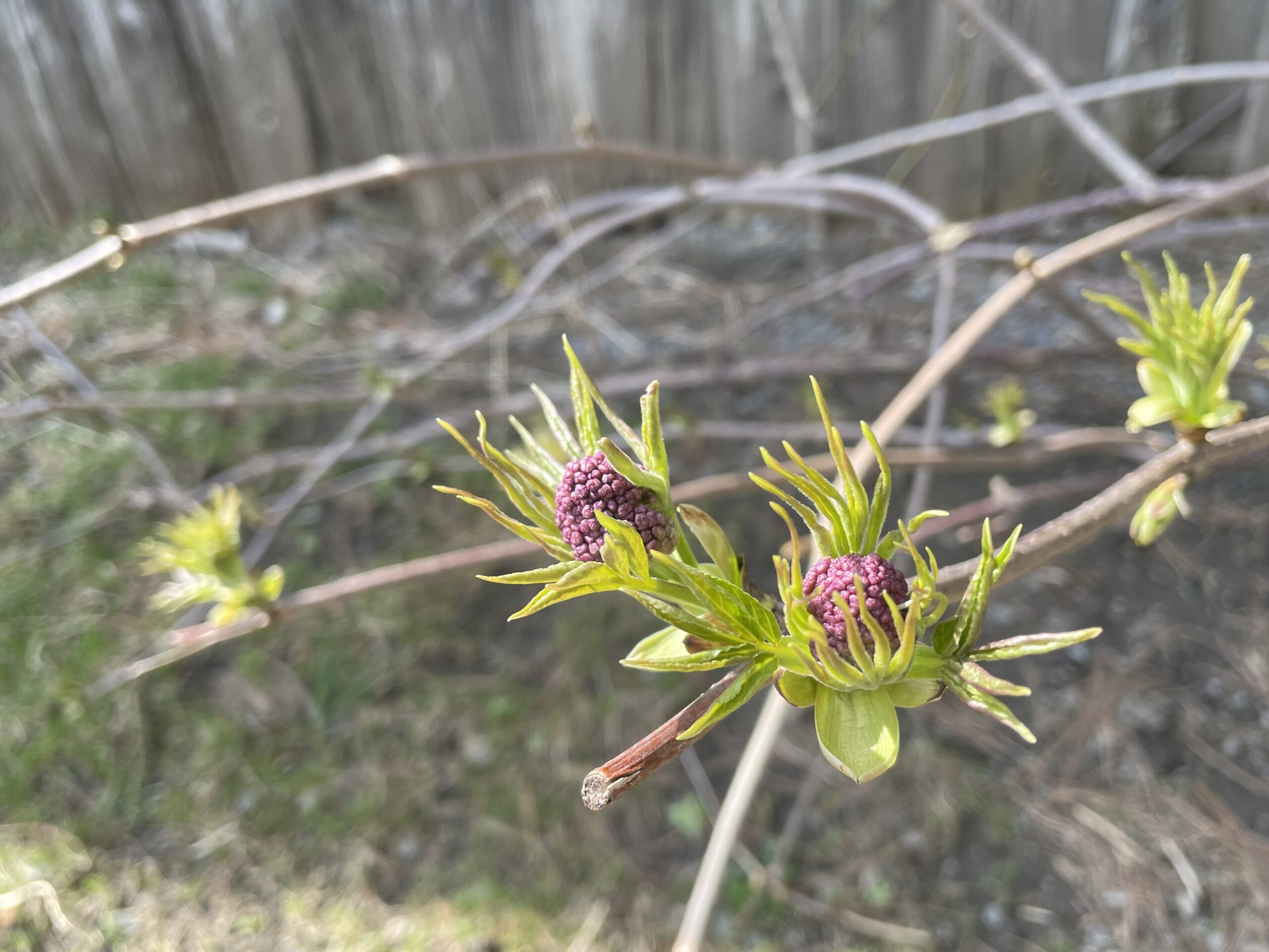 20230421-154714-Joliette-Canada-2023