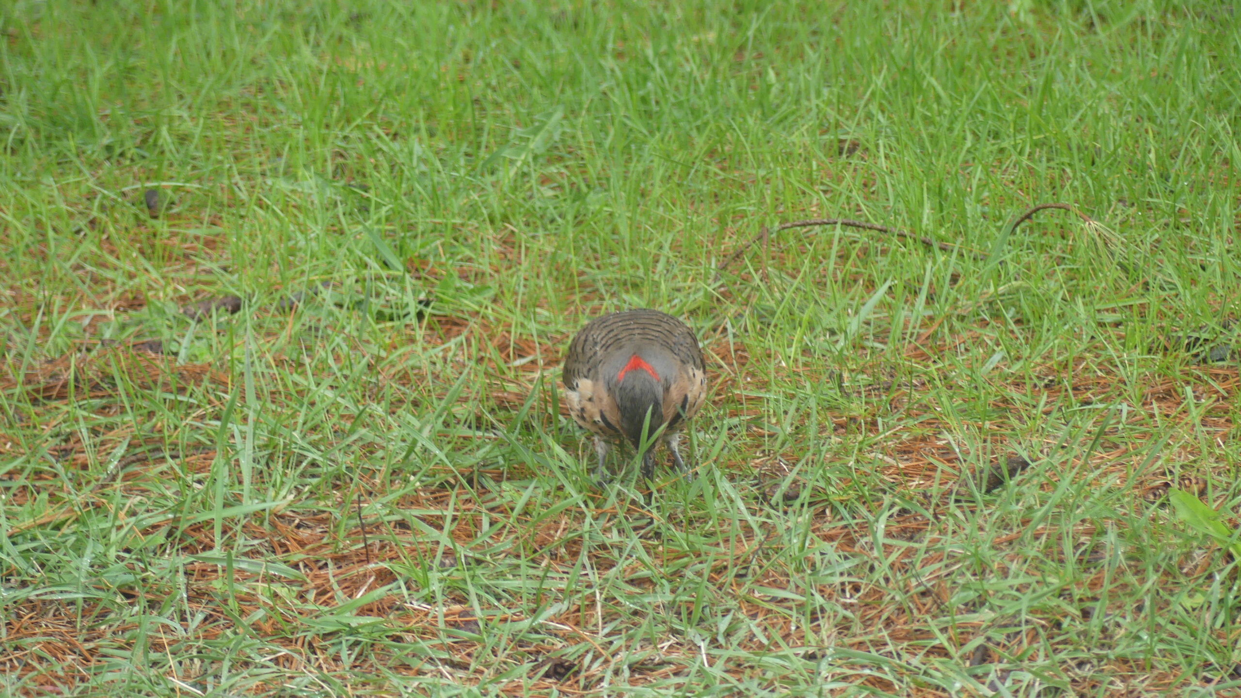 20230501-120619-Joliette-Canada-2023