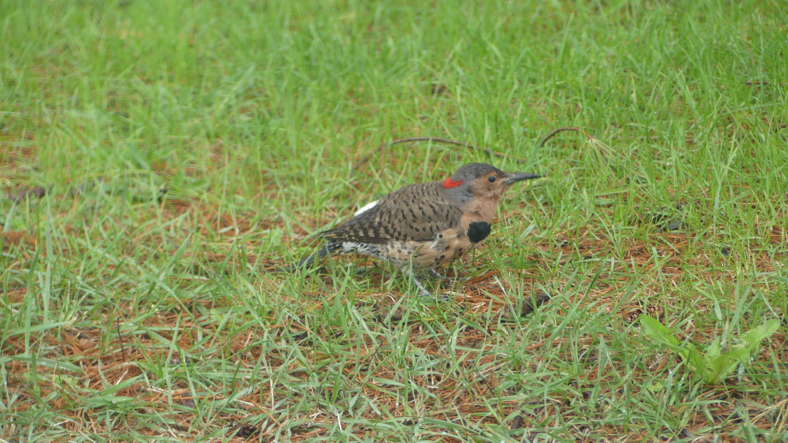 20230501-120641-Joliette-Canada-2023