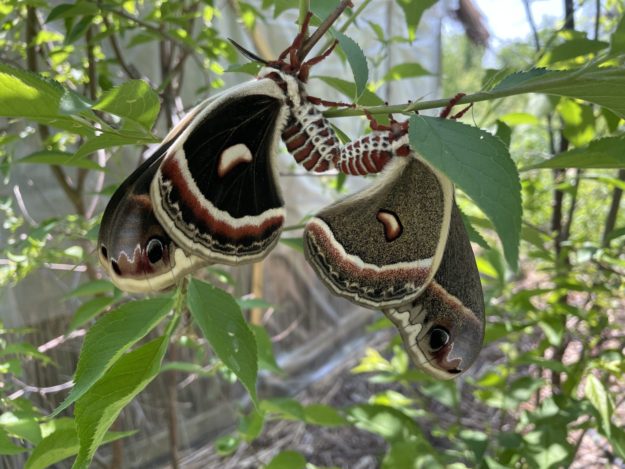 20230528-130200-Portrait-2023