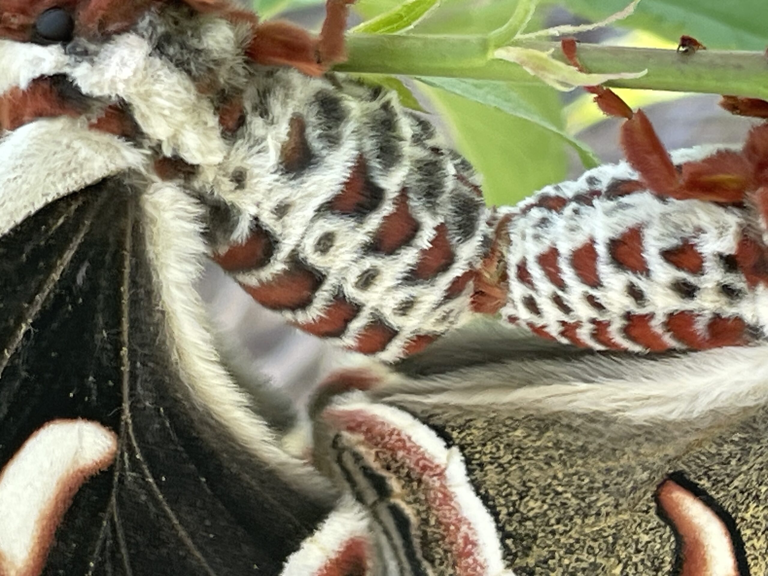 20230528-130225-Unknown-2023