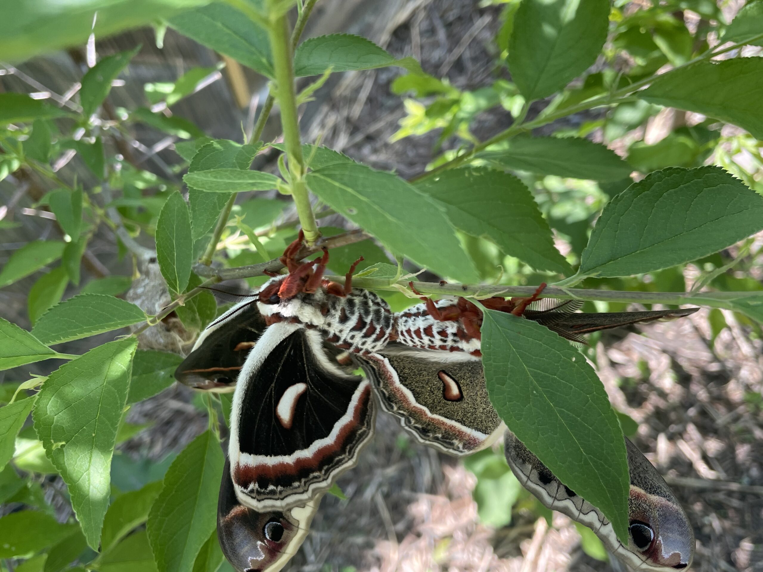 20230528-130244-Unknown-2023