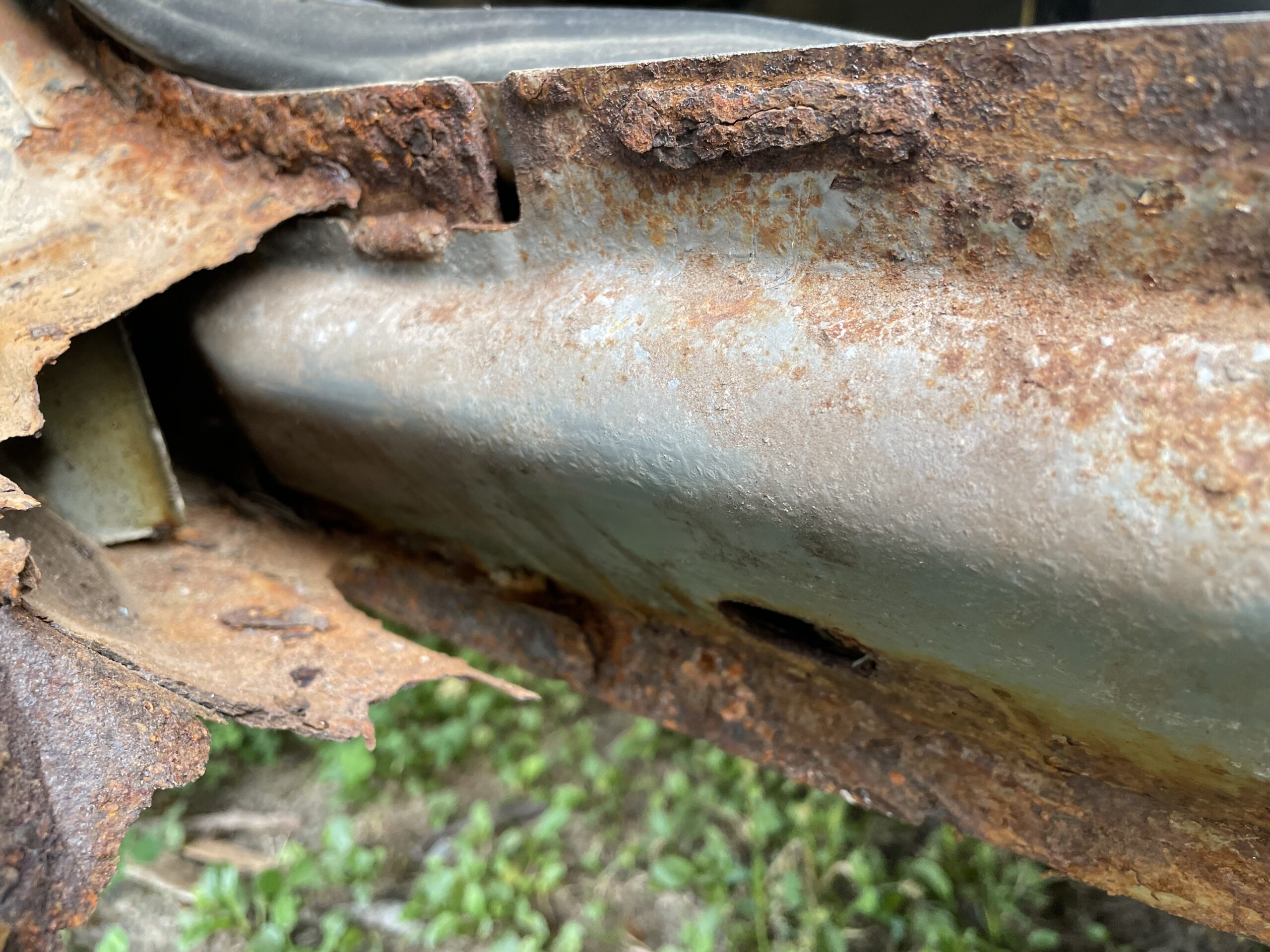 20230927-165403-Fish-2023